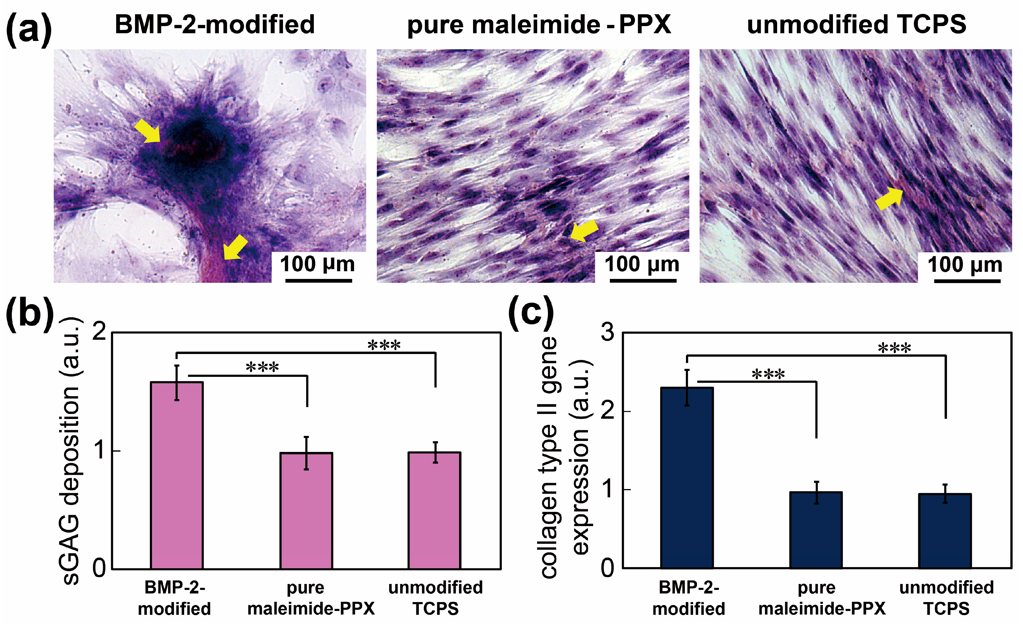 Coatings 11 00582 g004 Coatings 11 00582 g004