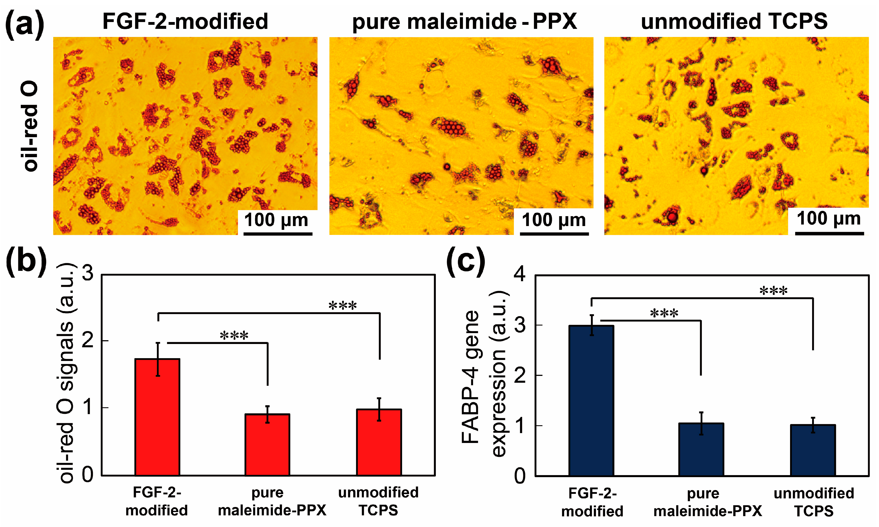 Coatings 11 00582 g005 Coatings 11 00582 g005