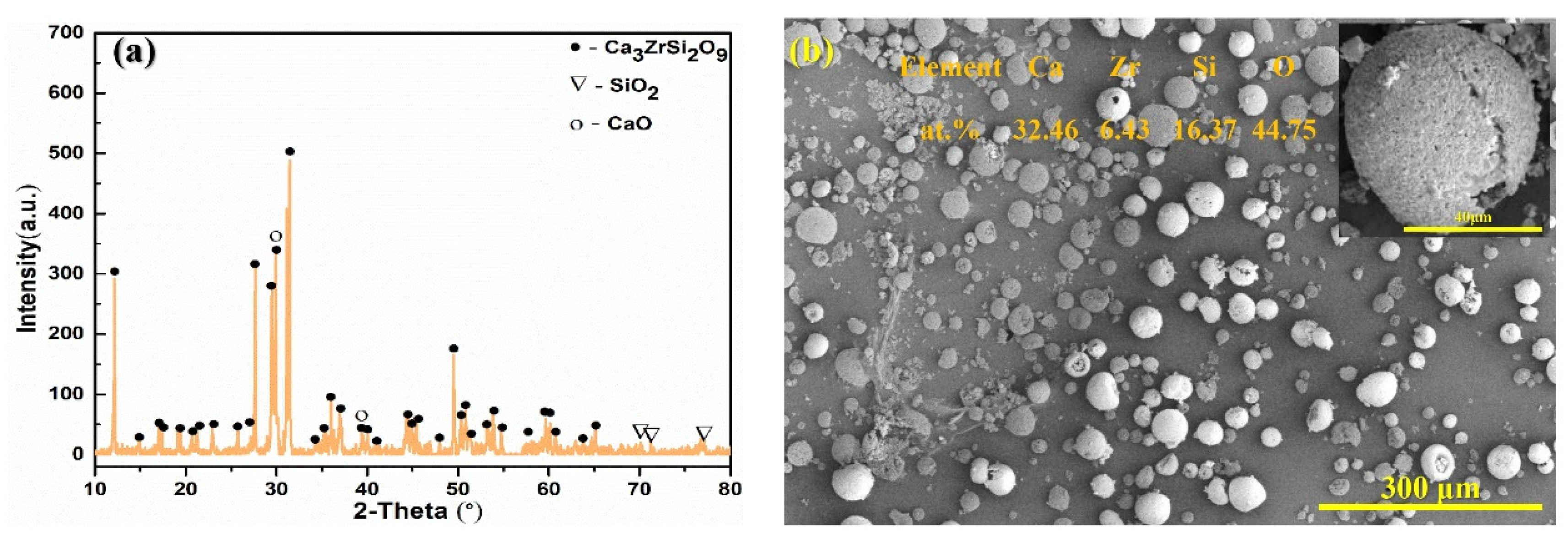 Coatings 11 00583 g002