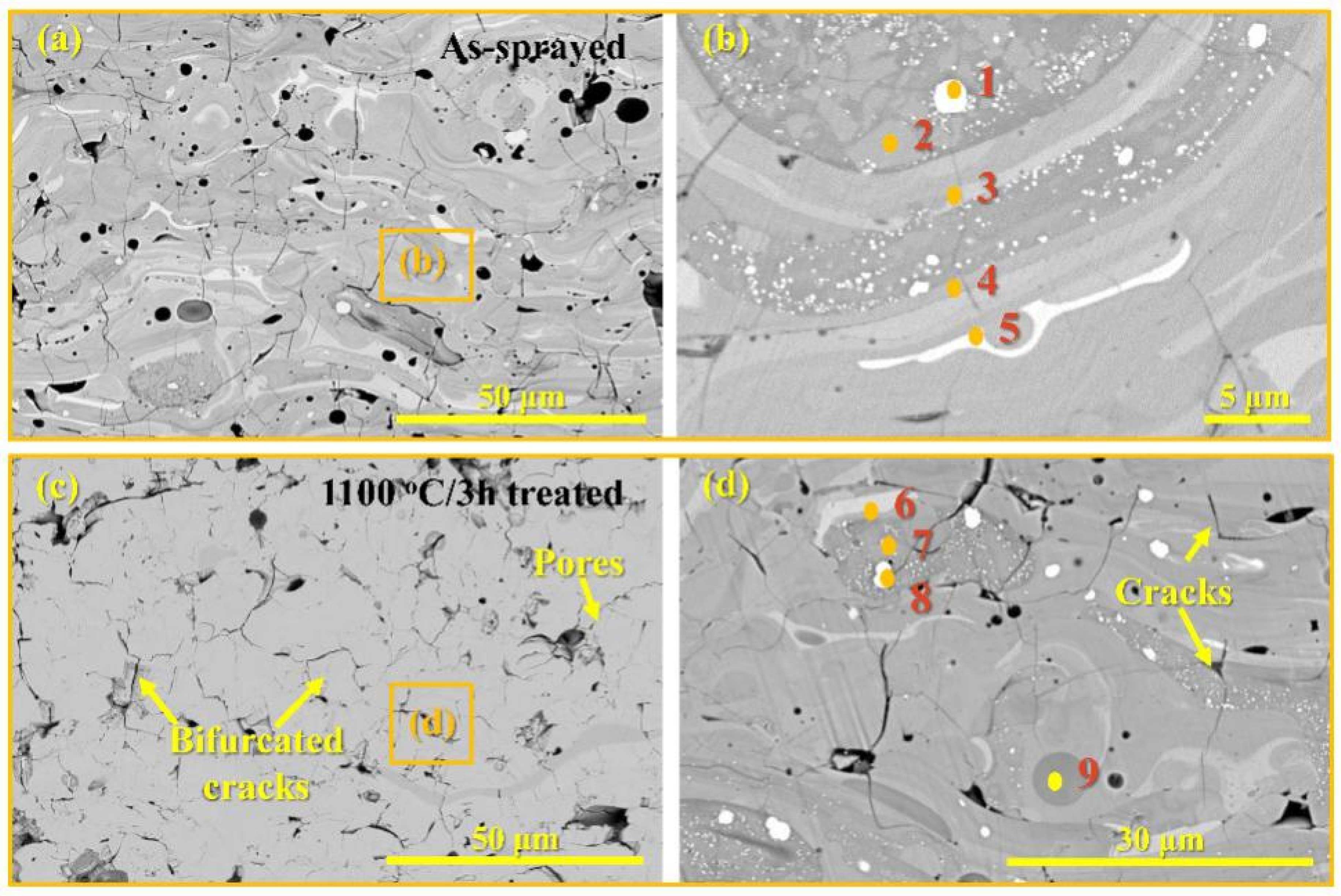 Coatings 11 00583 g004