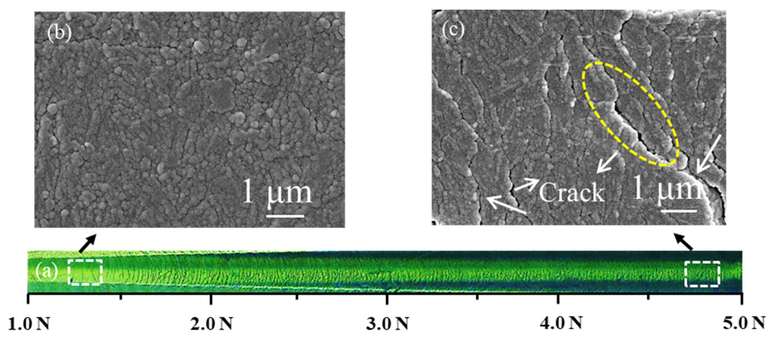Coatings 11 00584 g010 Coatings 11 00584 g010