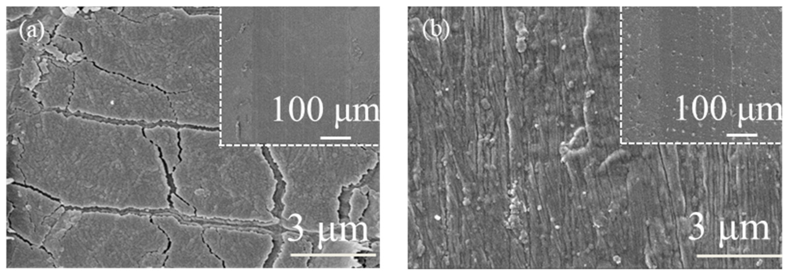 Coatings 11 00584 g015 Coatings 11 00584 g015