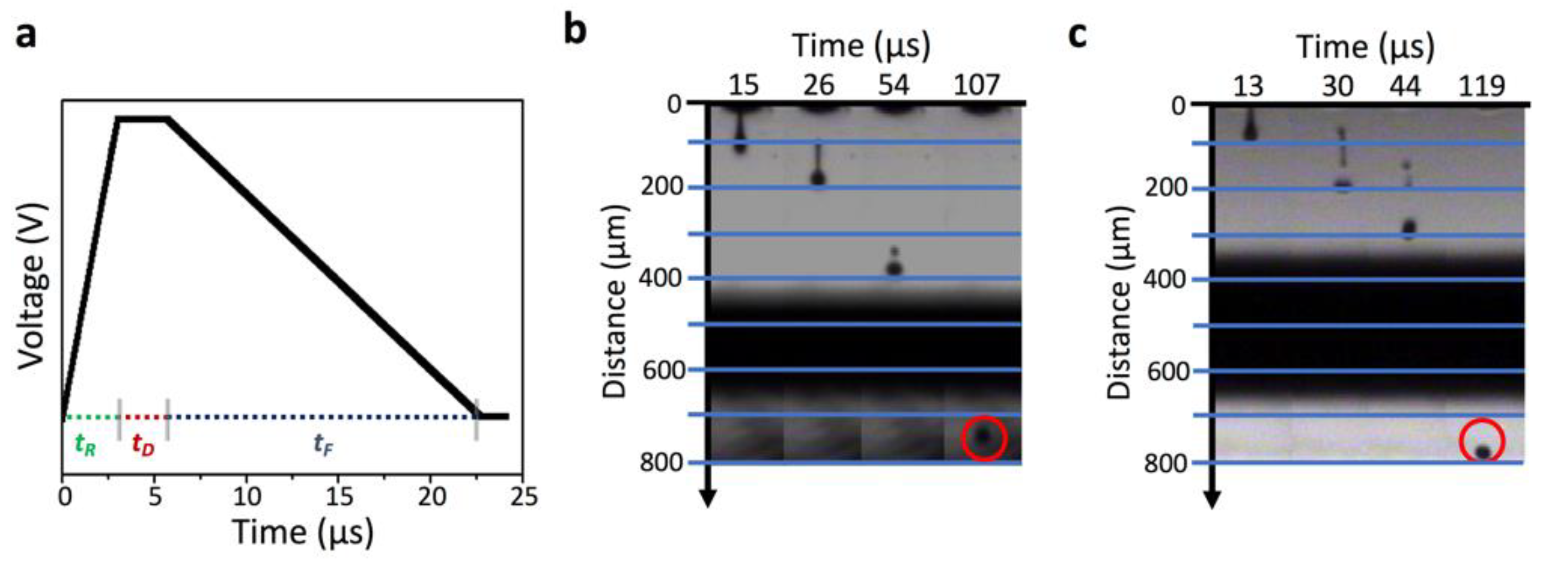 Coatings 11 00586 g002 Coatings 11 00586 g002