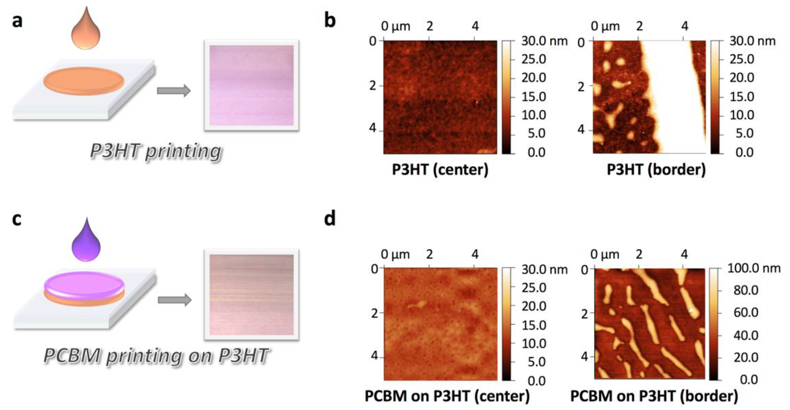 Coatings 11 00586 g003 Coatings 11 00586 g003