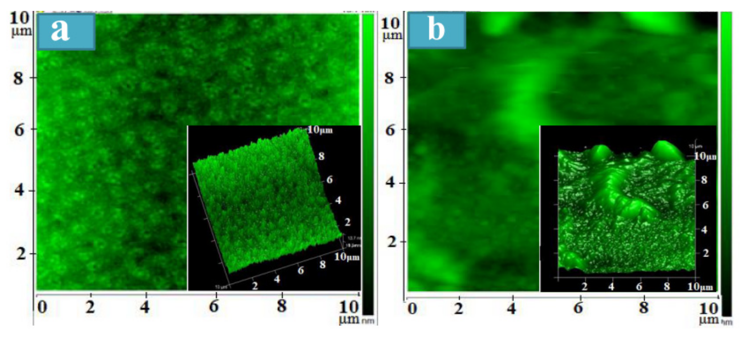 Coatings 11 00588 g002 Coatings 11 00588 g002