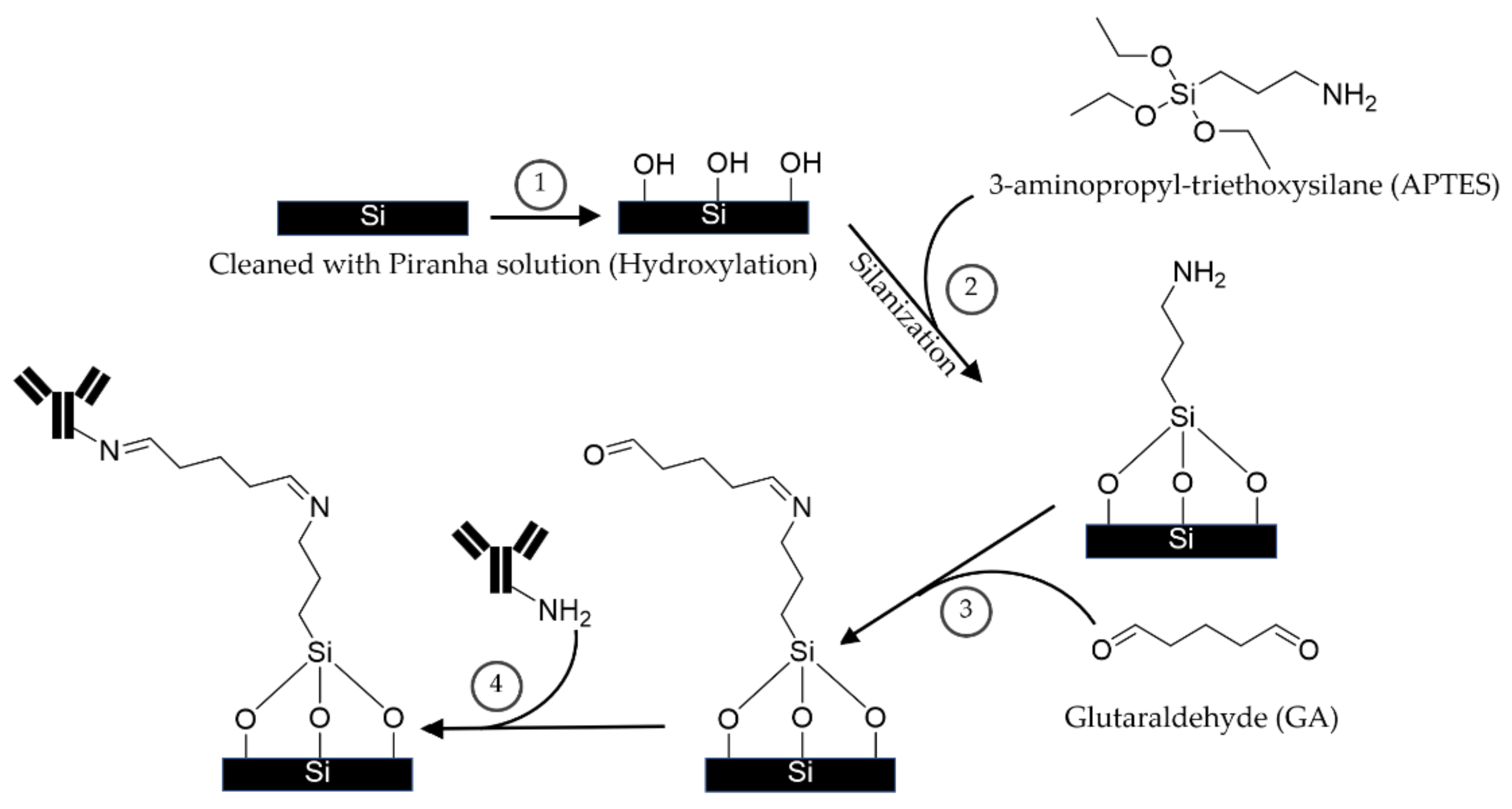 Coatings 11 00595 g001
