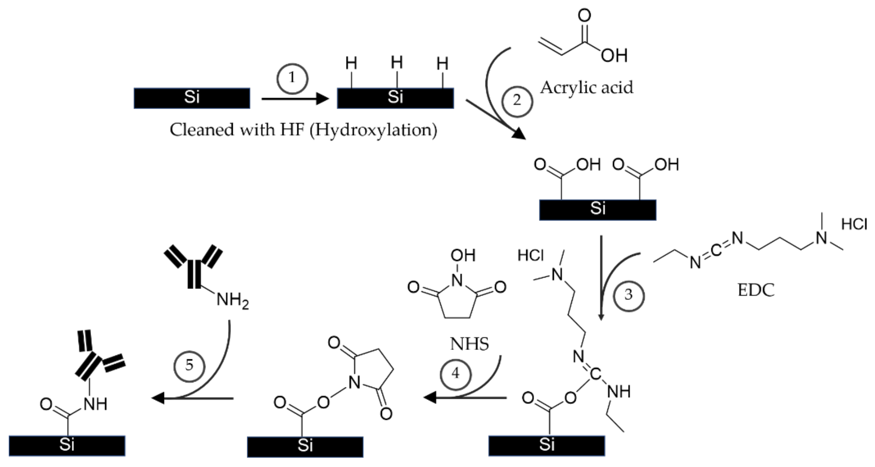 Coatings 11 00595 g002