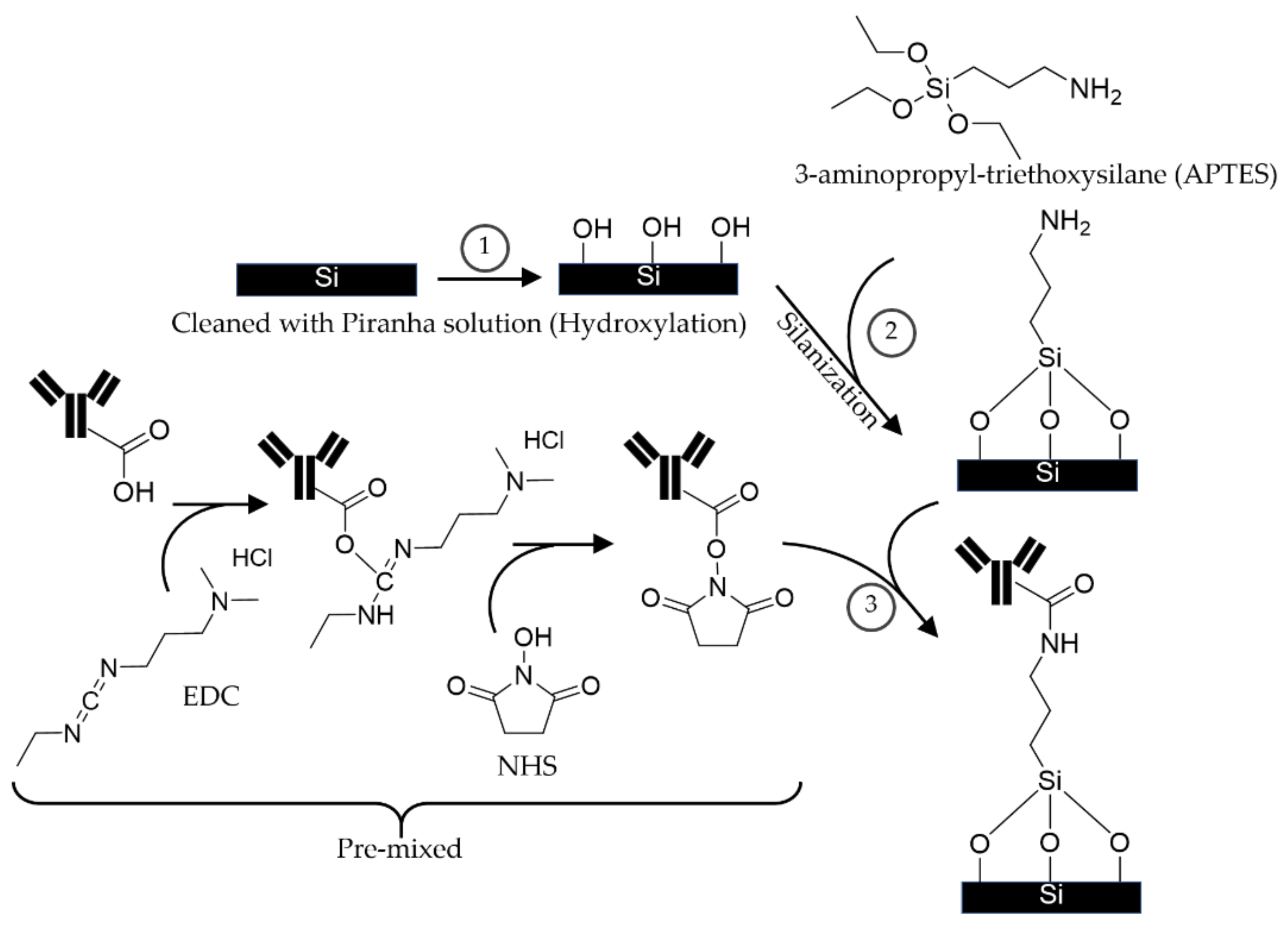 Coatings 11 00595 g003
