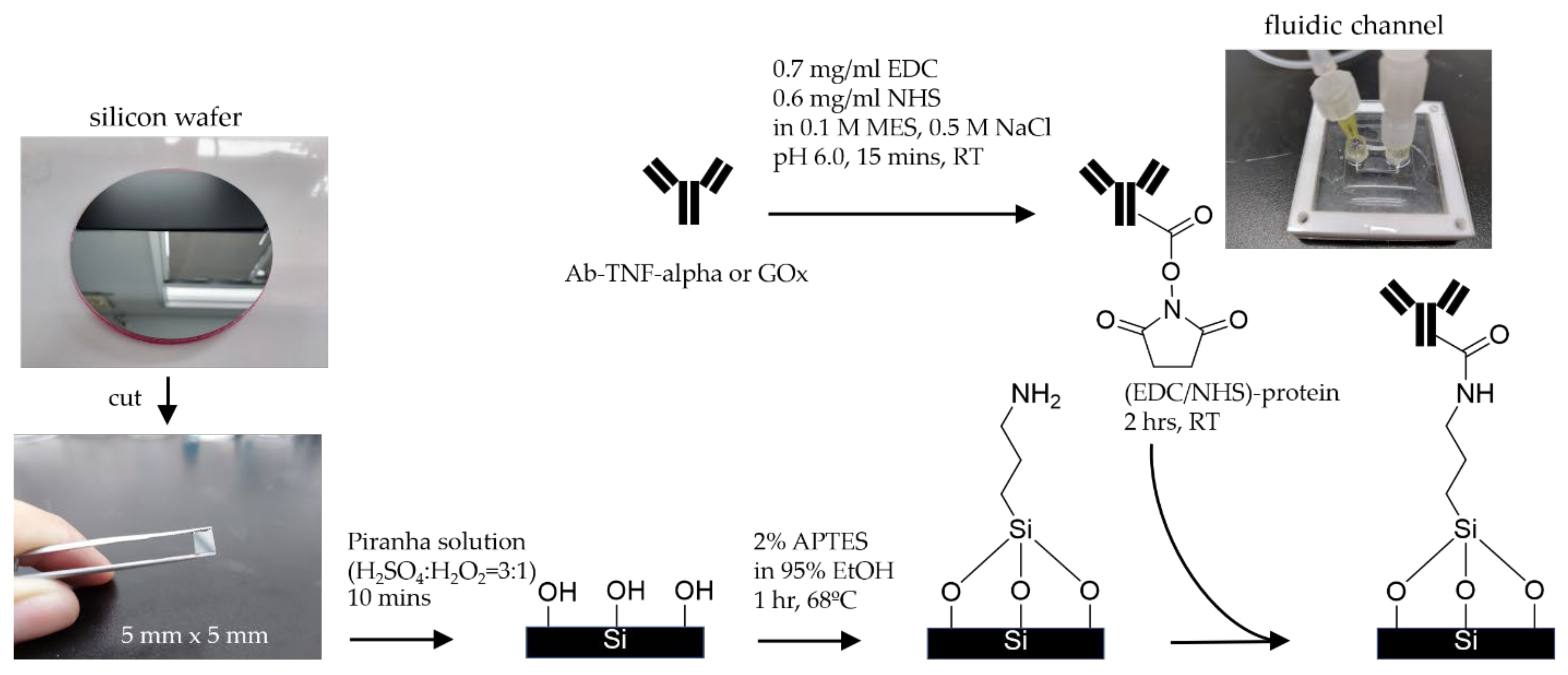 Coatings 11 00595 g004