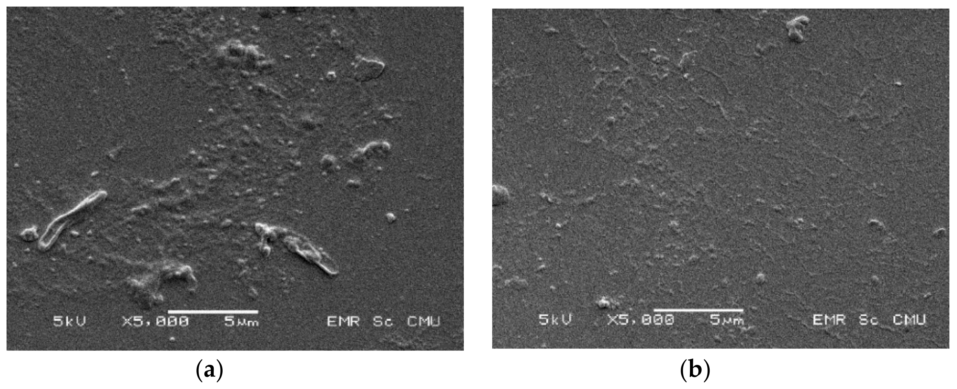 Coatings 11 00595 g007