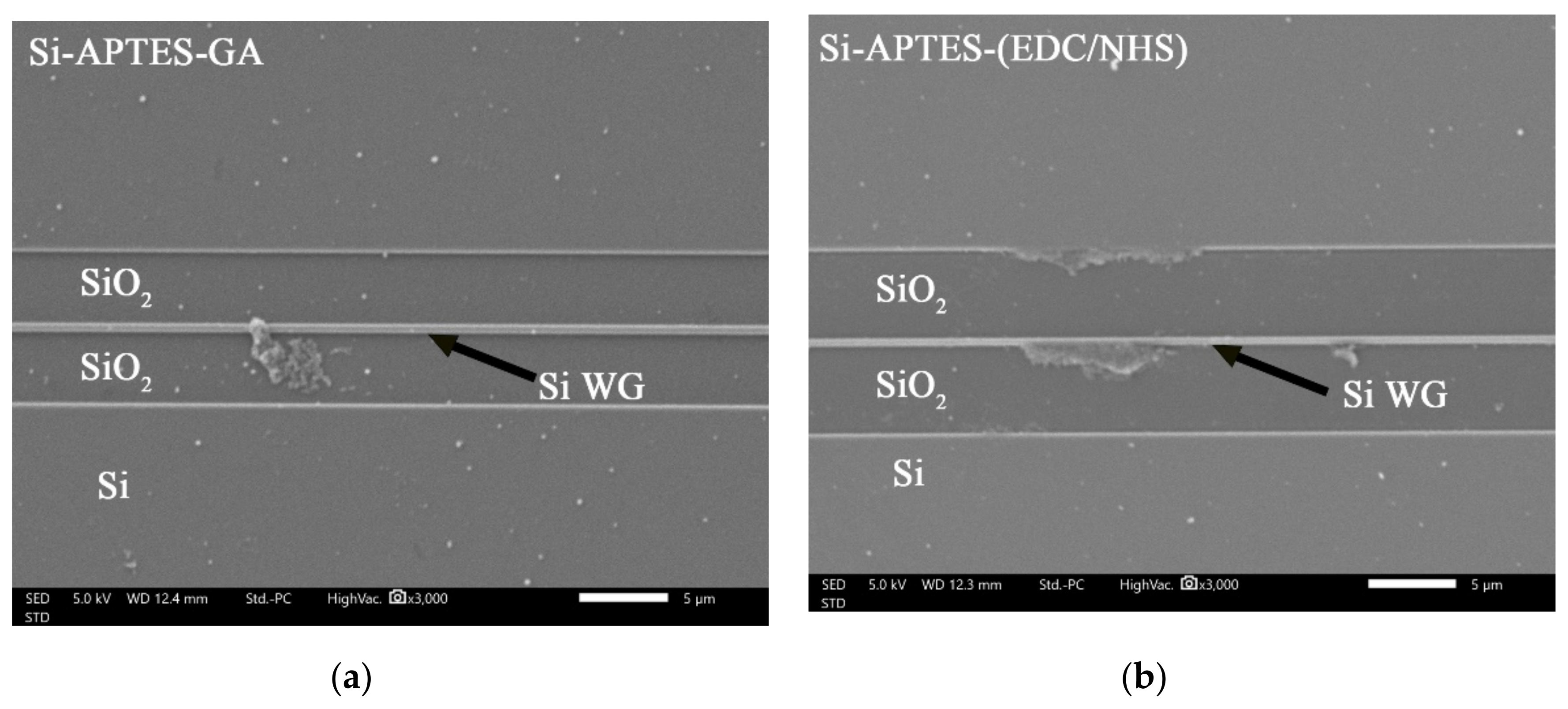 Coatings 11 00595 g014