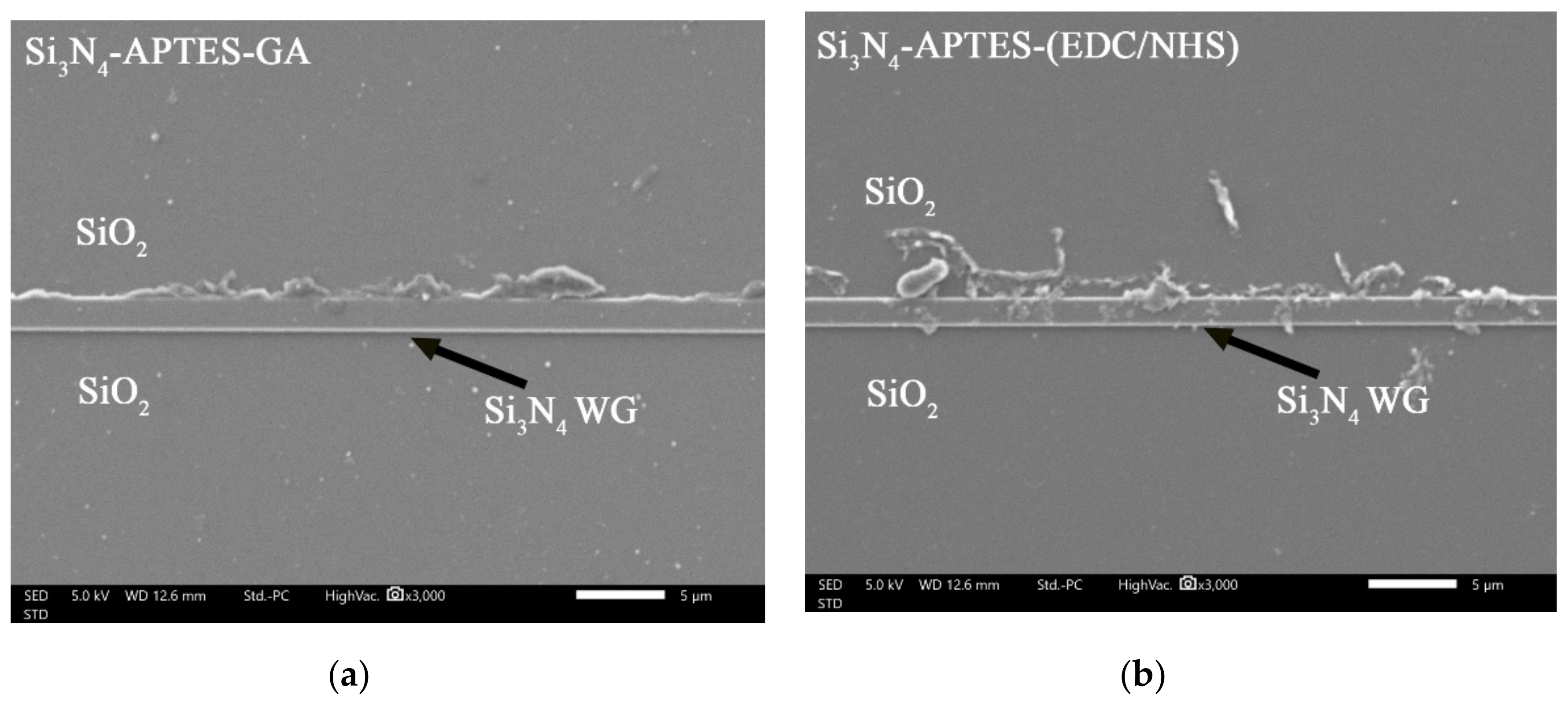 Coatings 11 00595 g015