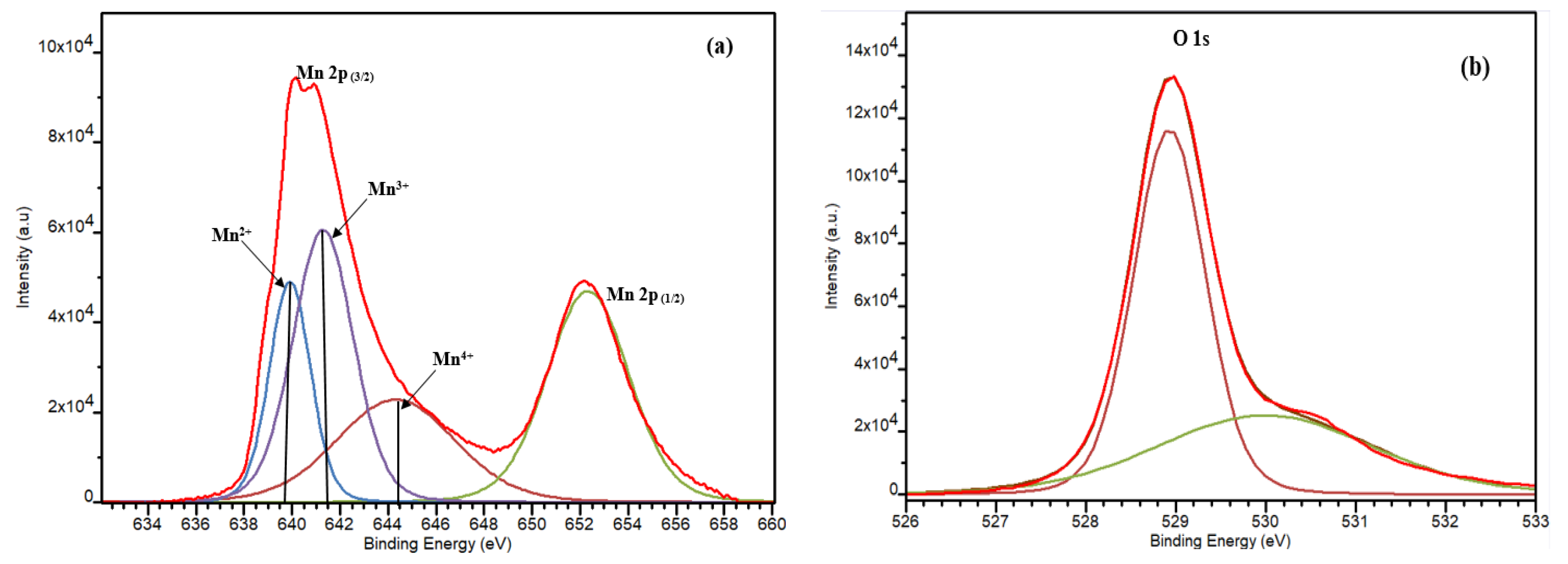Coatings 11 00598 g004