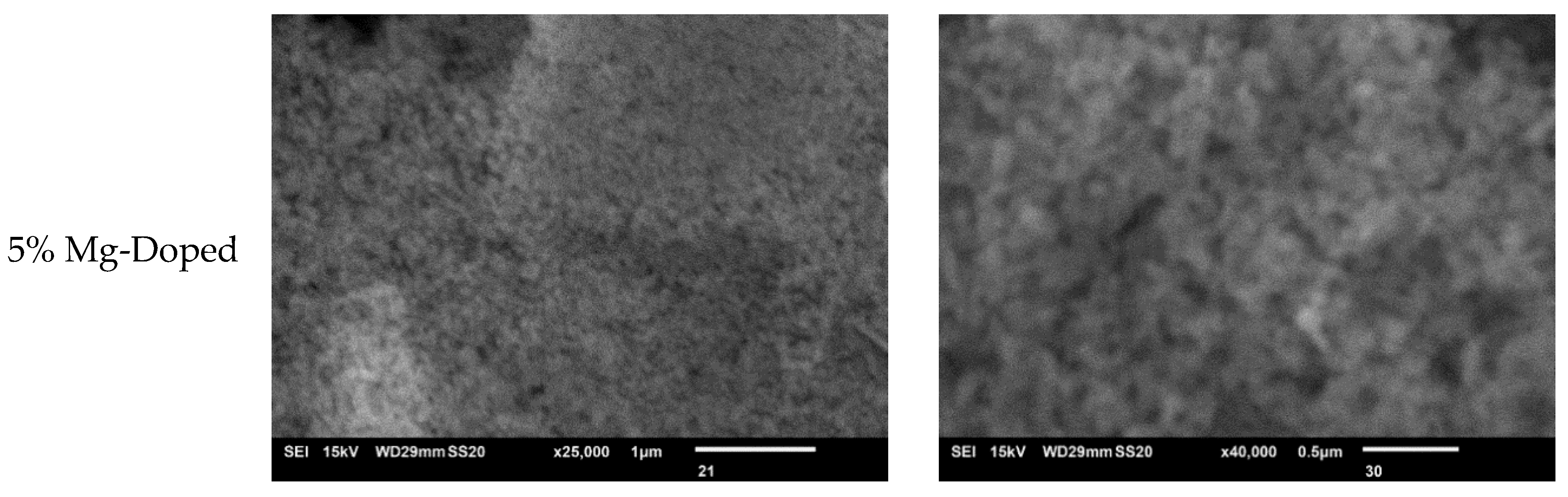 Coatings 11 00598 g007b