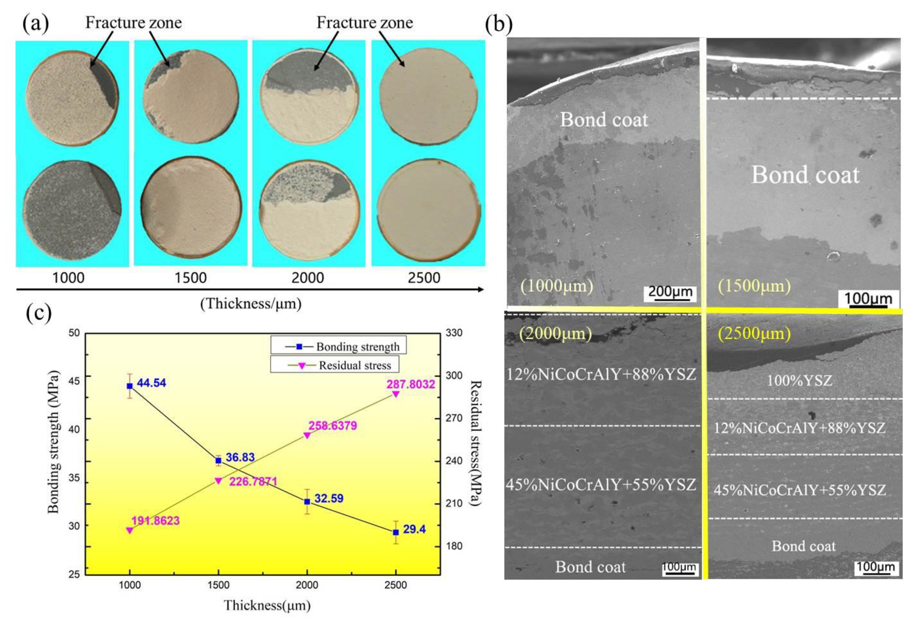 Coatings 11 00600 g005
