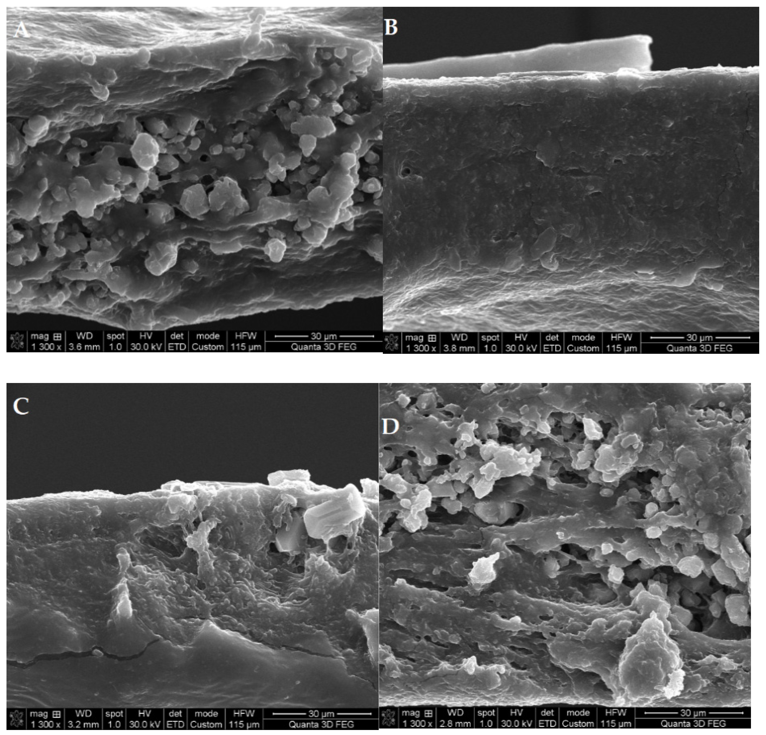 Coatings 11 00602 g002 Coatings 11 00602 g002