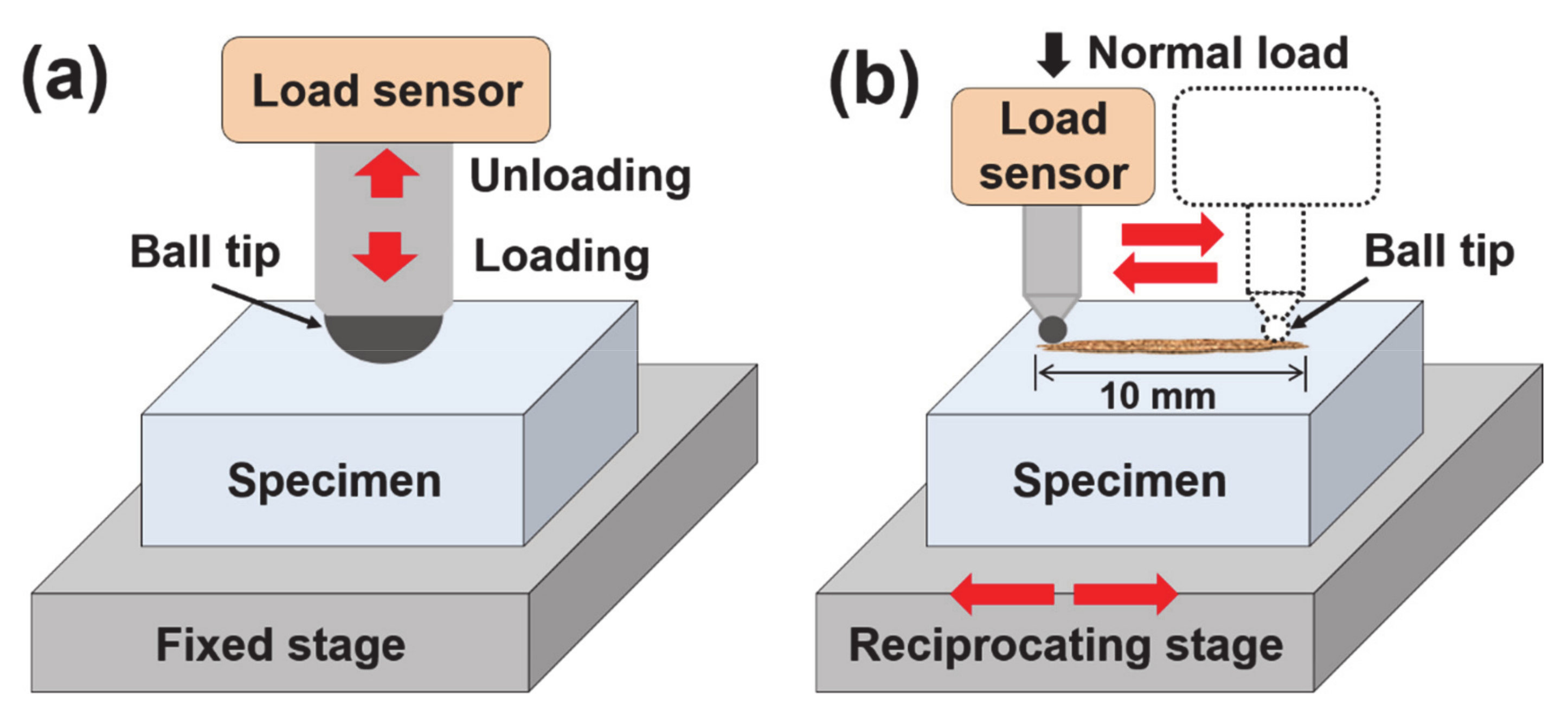 Coatings 11 00603 g001 550