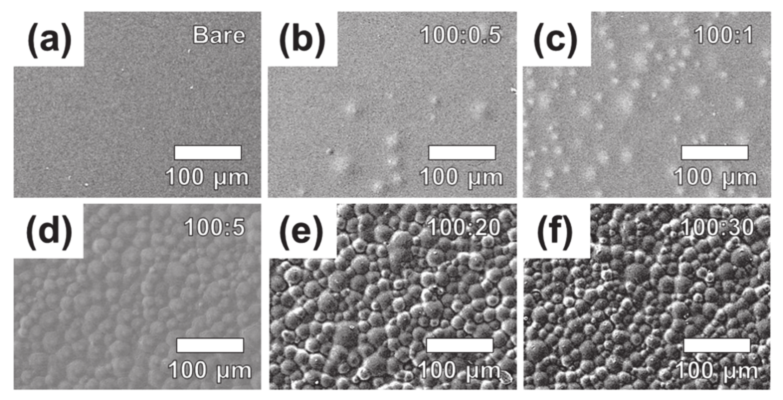Coatings 11 00603 g002 550