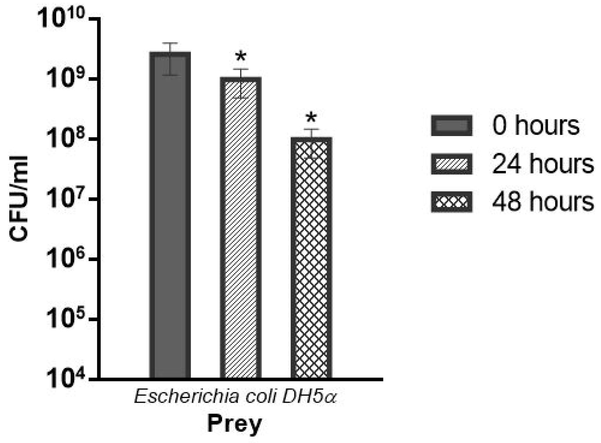 Coatings 11 00605 g008 Coatings 11 00605 g008