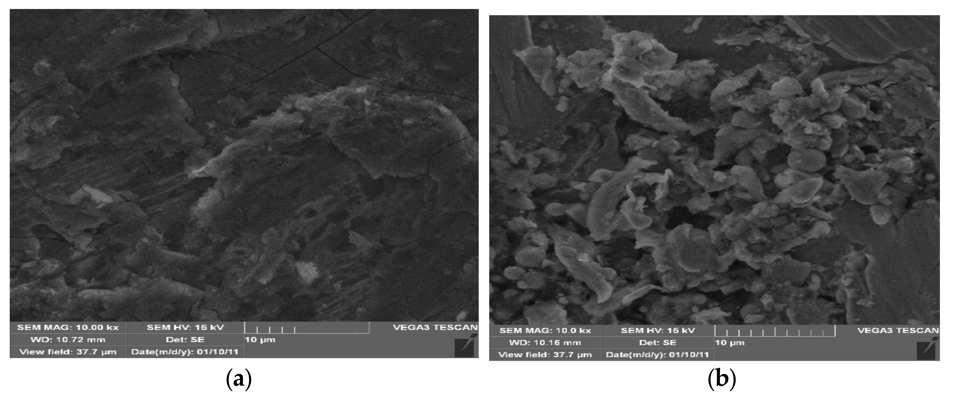 Coatings 11 00606 g012 Coatings 11 00606 g012