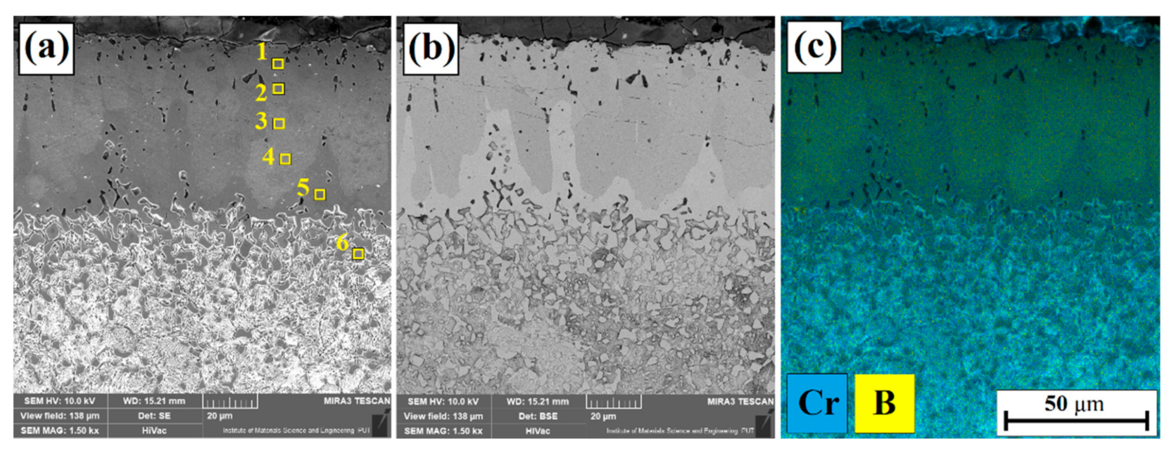 Coatings 11 00608 g002