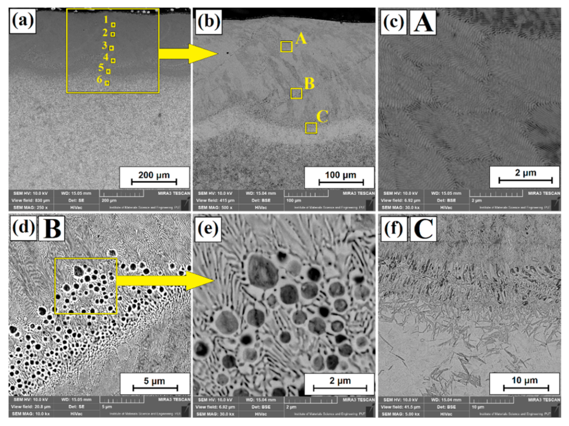Coatings 11 00608 g003