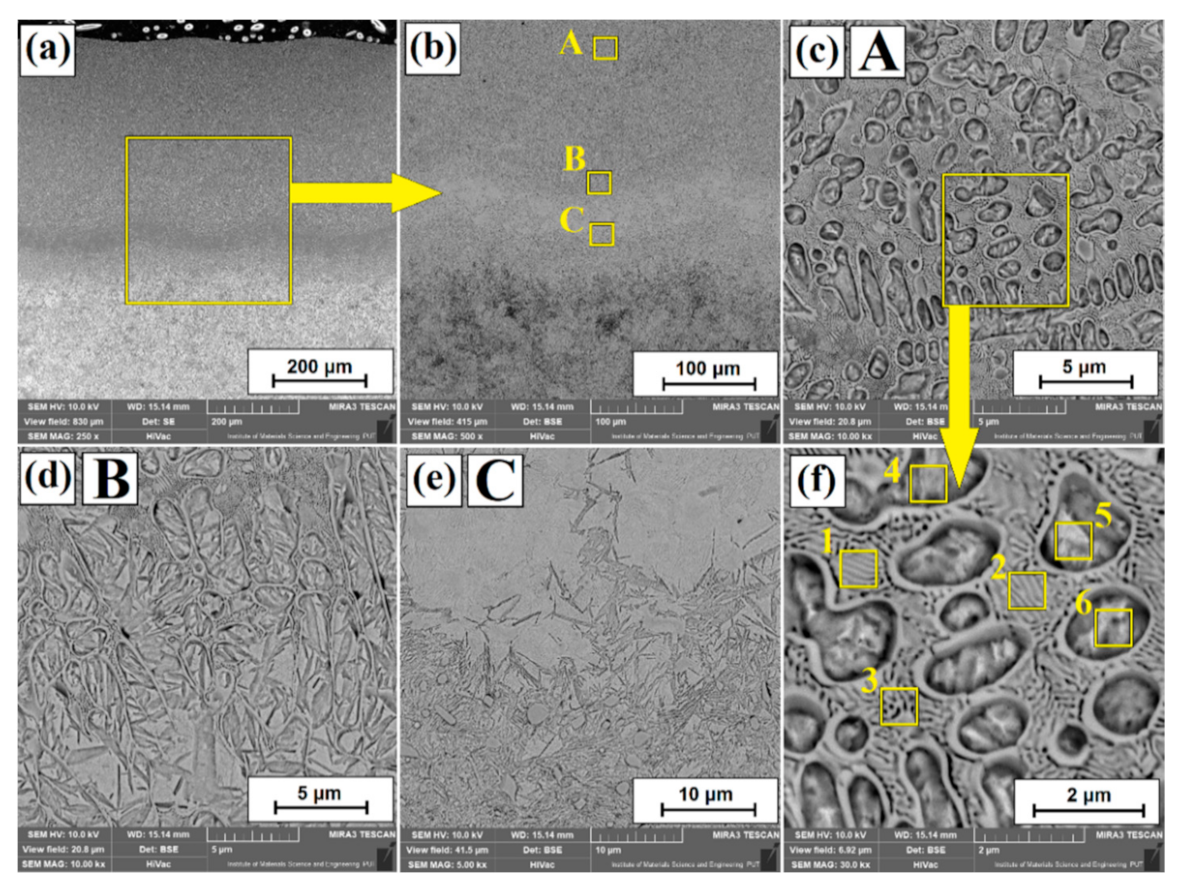Coatings 11 00608 g004