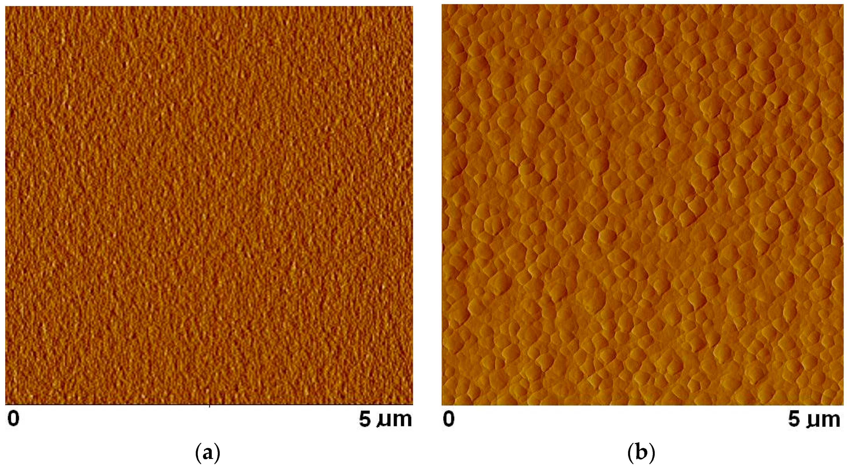 Coatings 11 00611 g003 550