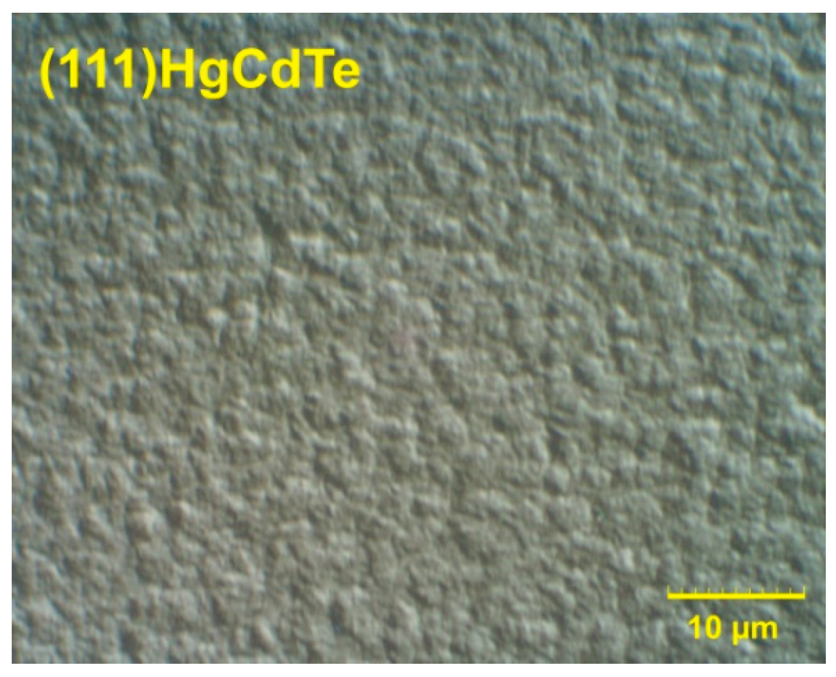Coatings 11 00611 g004 550