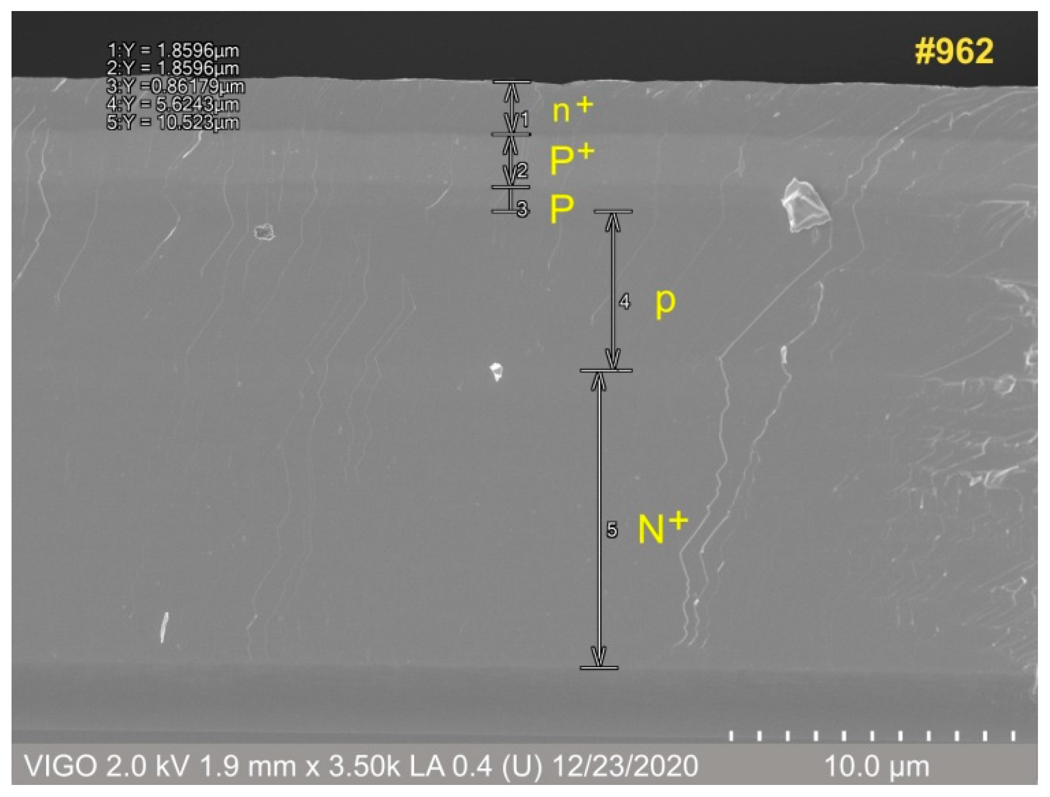 Coatings 11 00611 g005 550