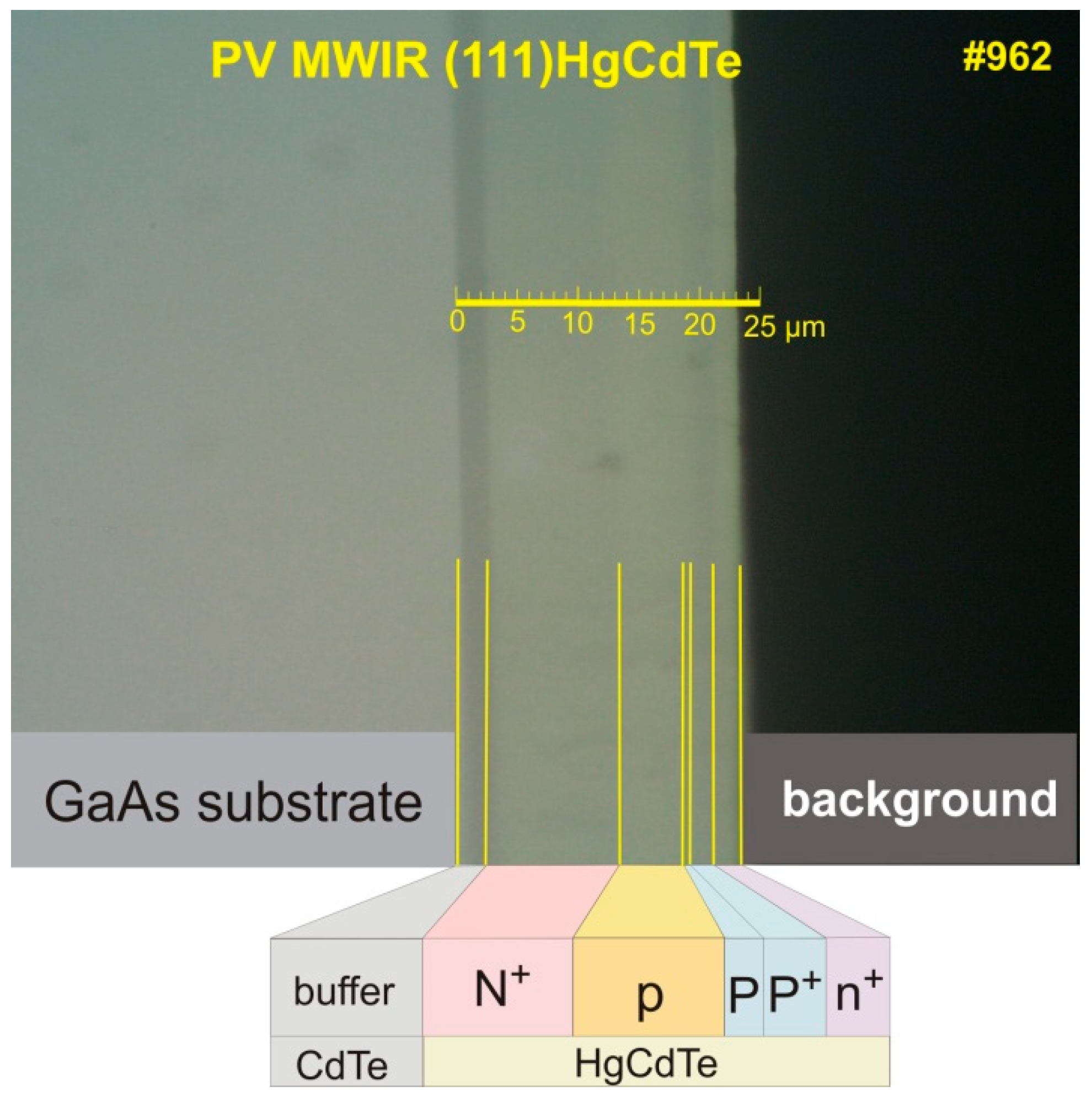 Coatings 11 00611 g006 550