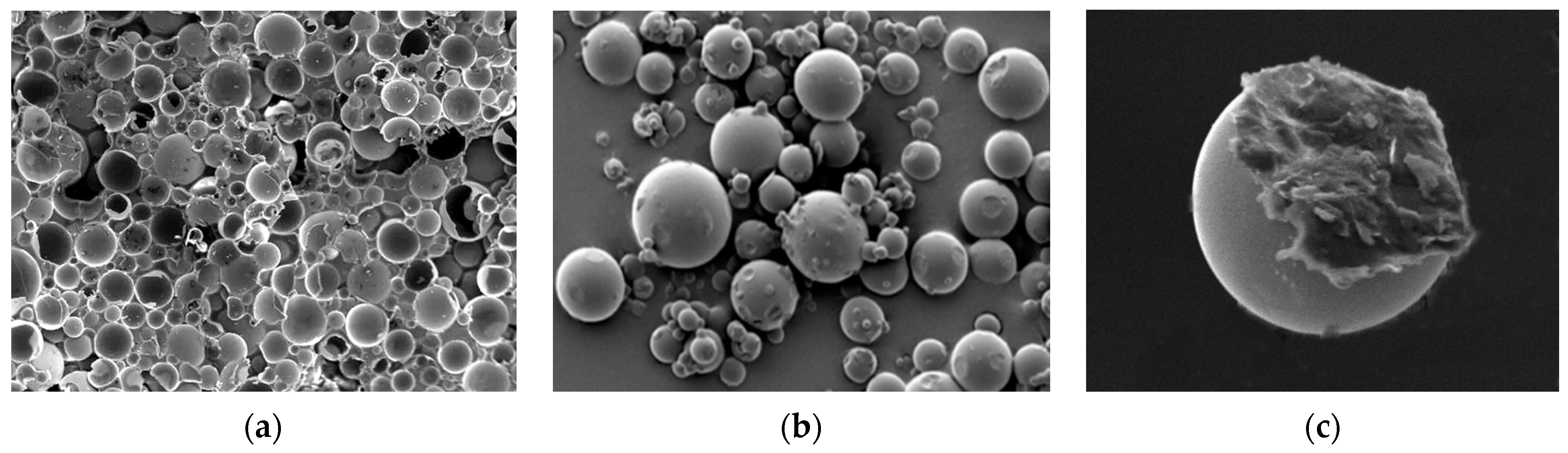 Coatings 11 00616 g010