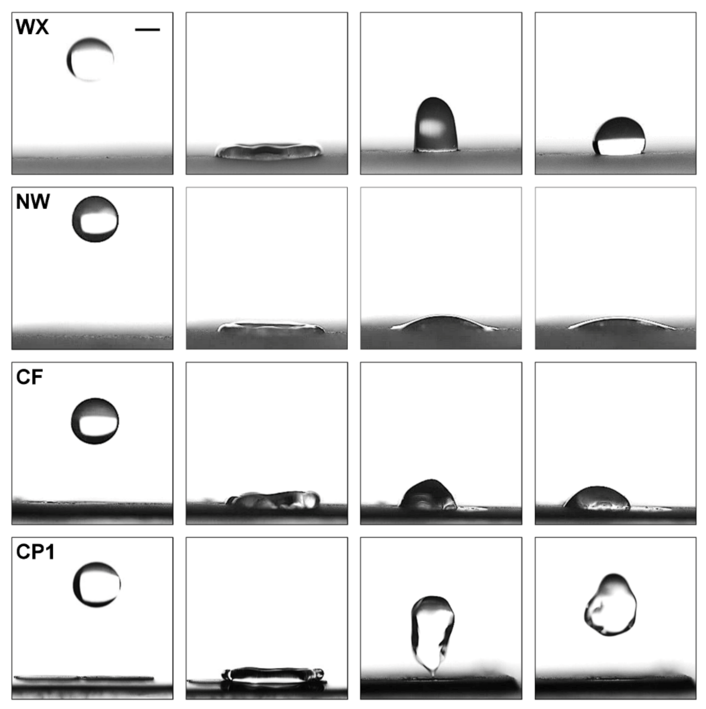 Coatings 11 00617 g001 Coatings 11 00617 g001