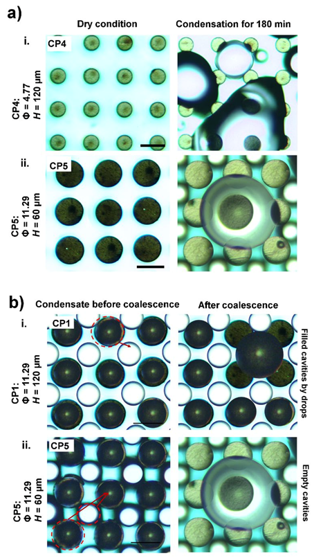 Coatings 11 00617 g003 Coatings 11 00617 g003