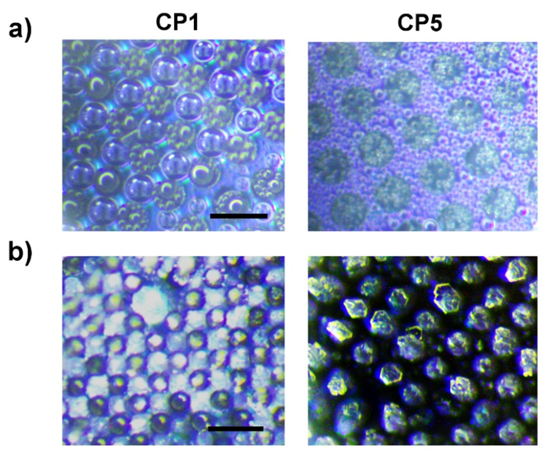 Coatings 11 00617 g005 Coatings 11 00617 g005
