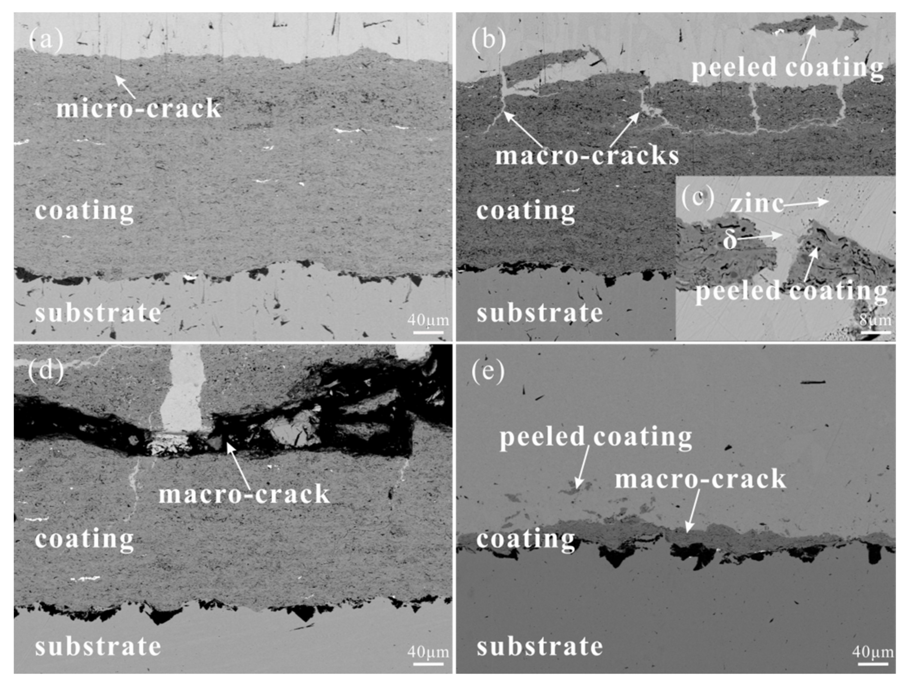 Coatings 11 00622 g008 Coatings 11 00622 g008