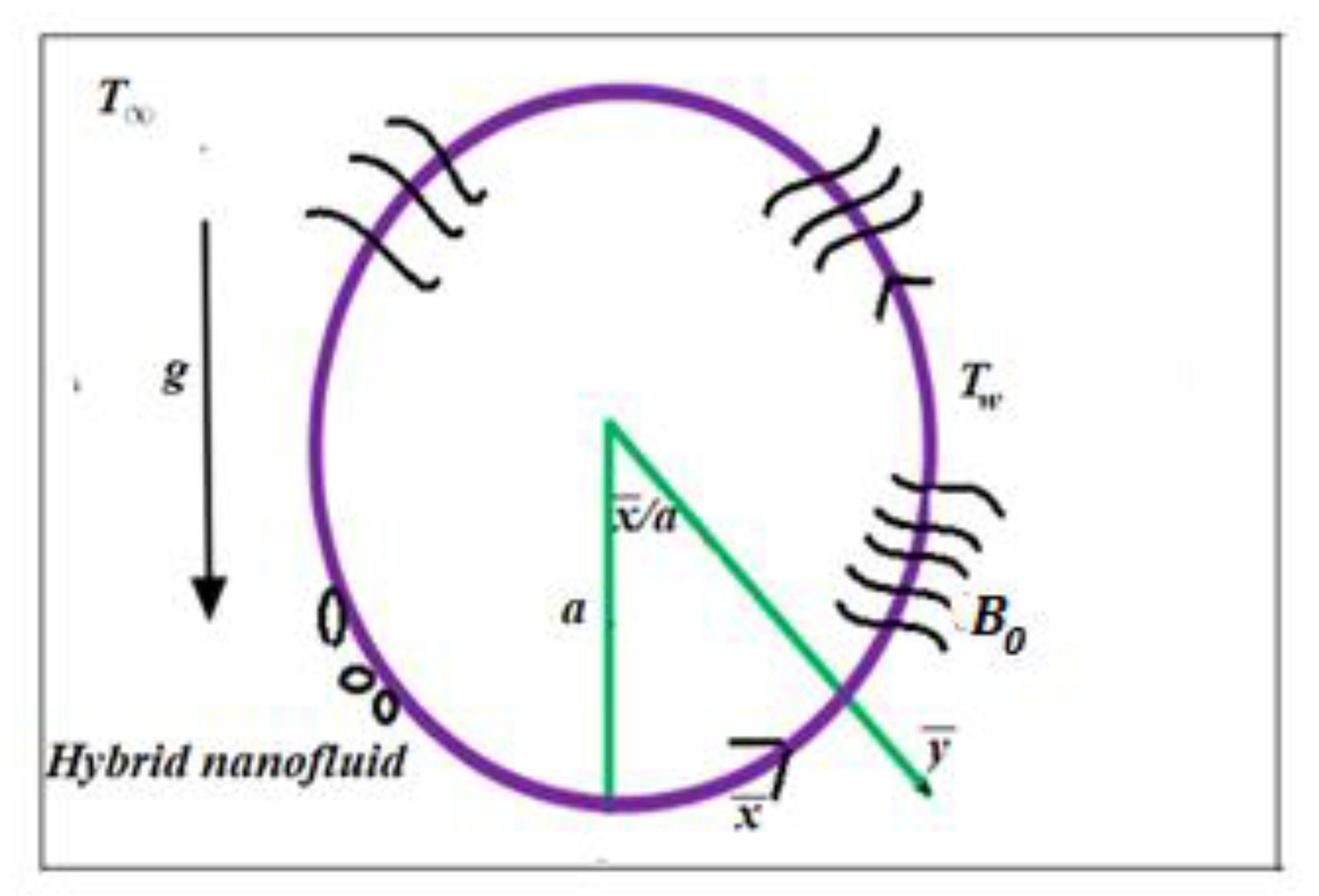 Coatings 11 00623 g001