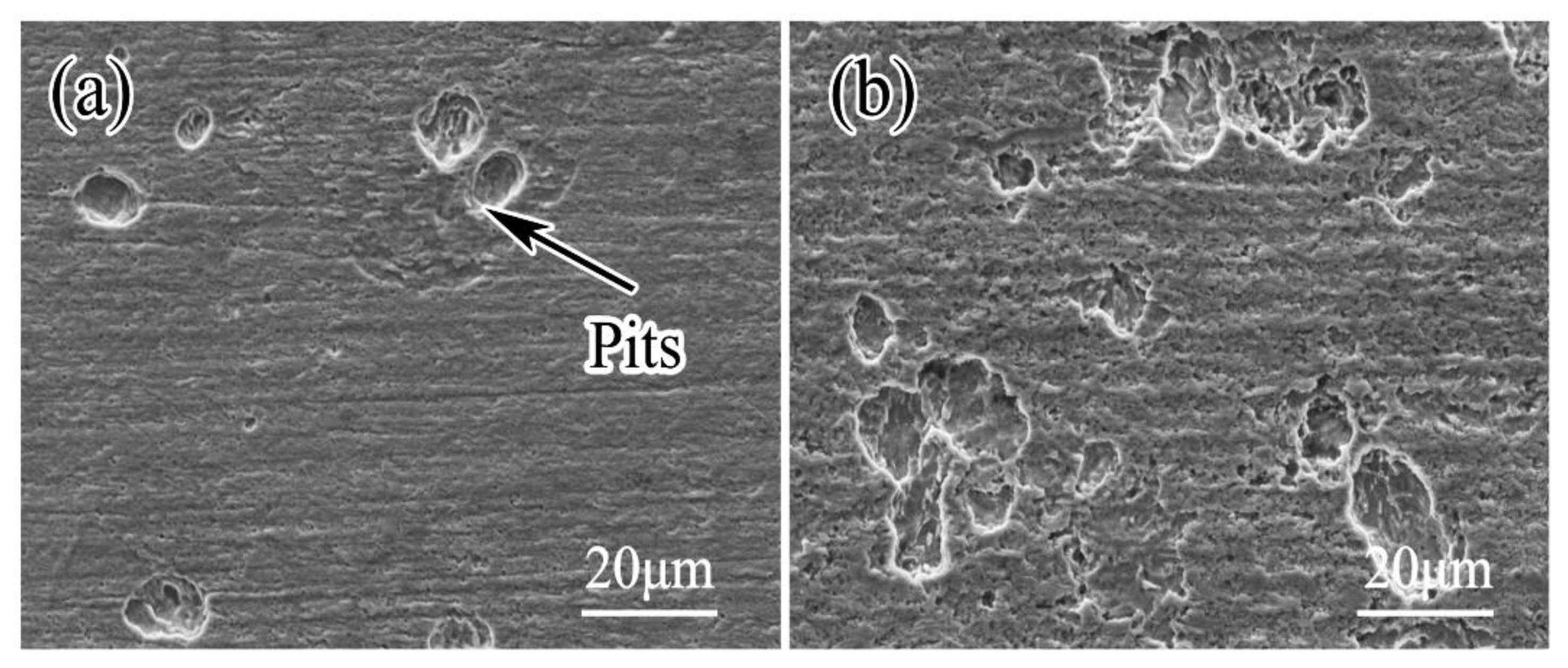 Coatings 11 00625 g005 Coatings 11 00625 g005