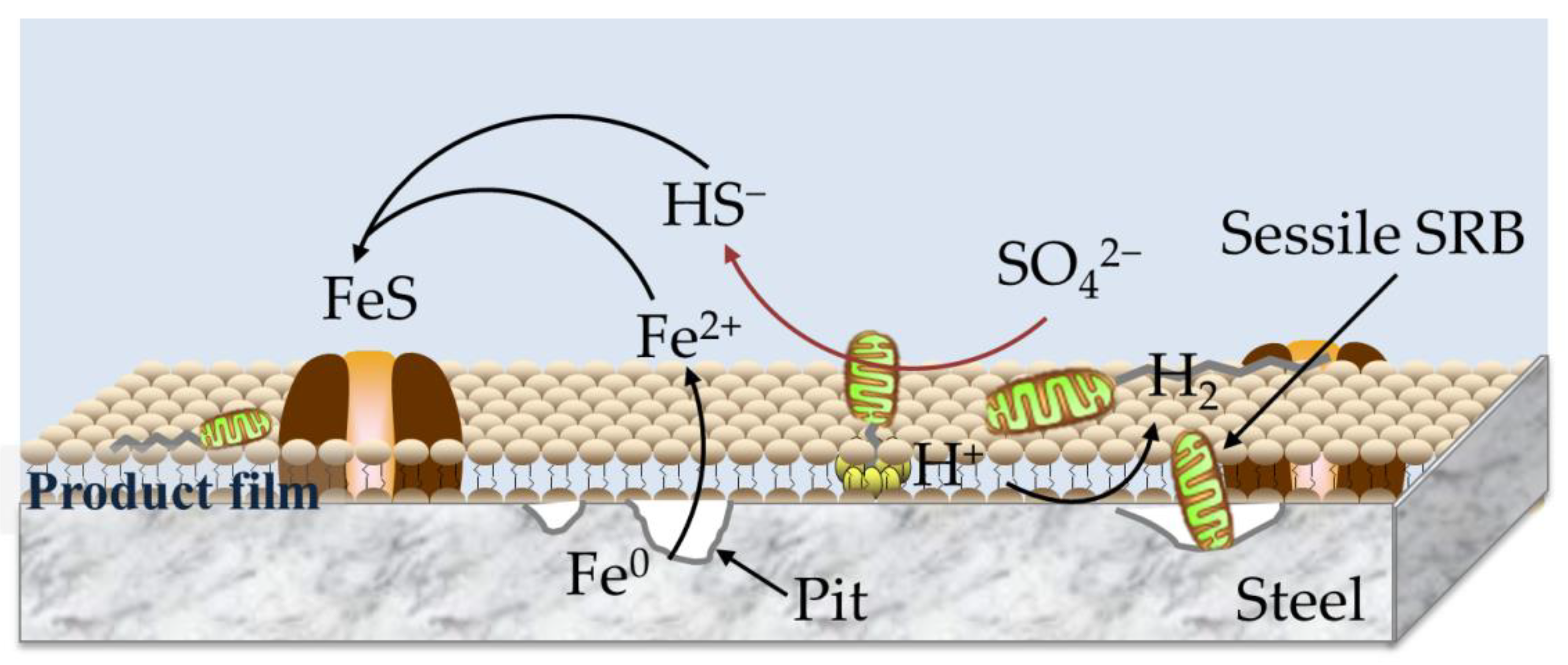 Coatings 11 00625 g010 Coatings 11 00625 g010