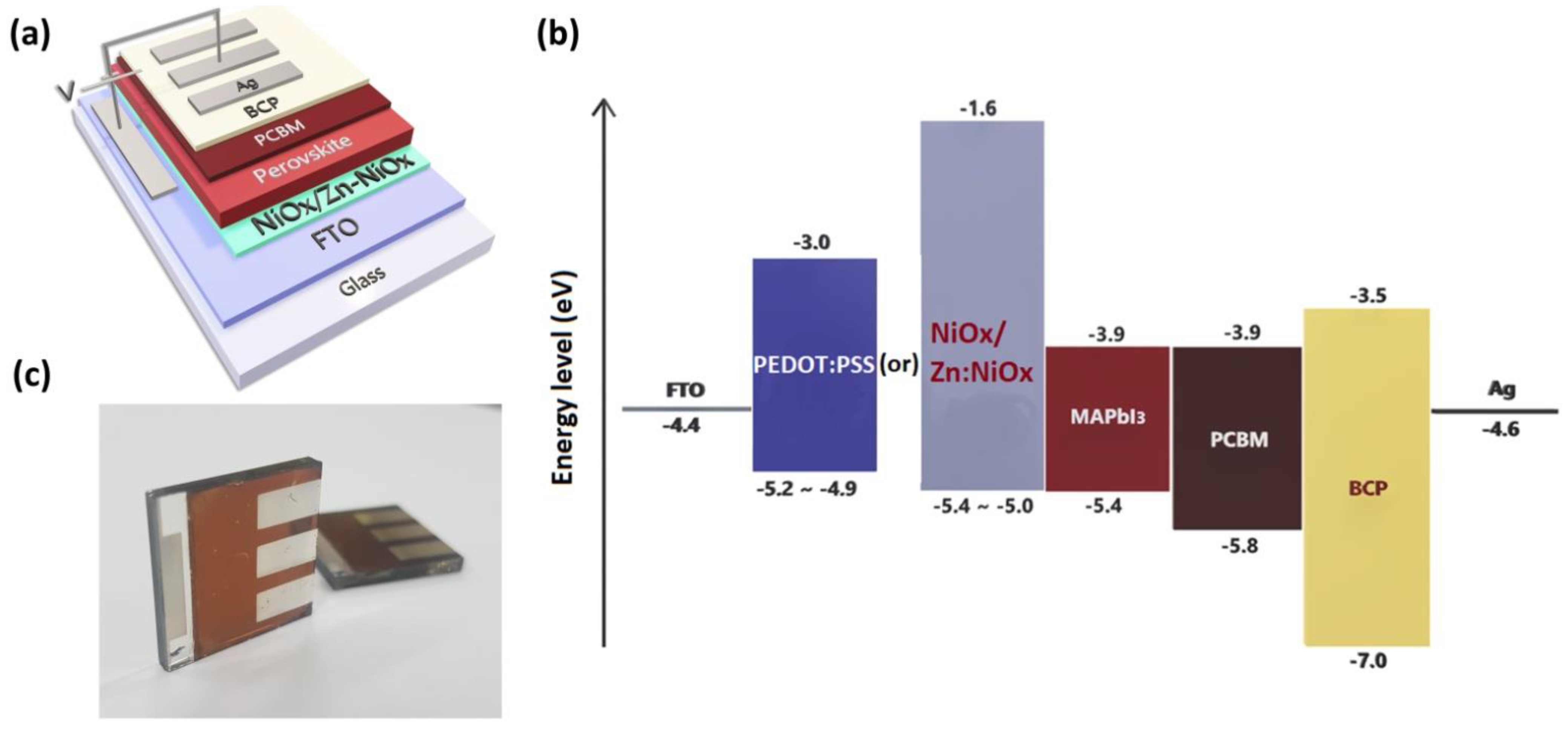 Coatings 11 00627 g001