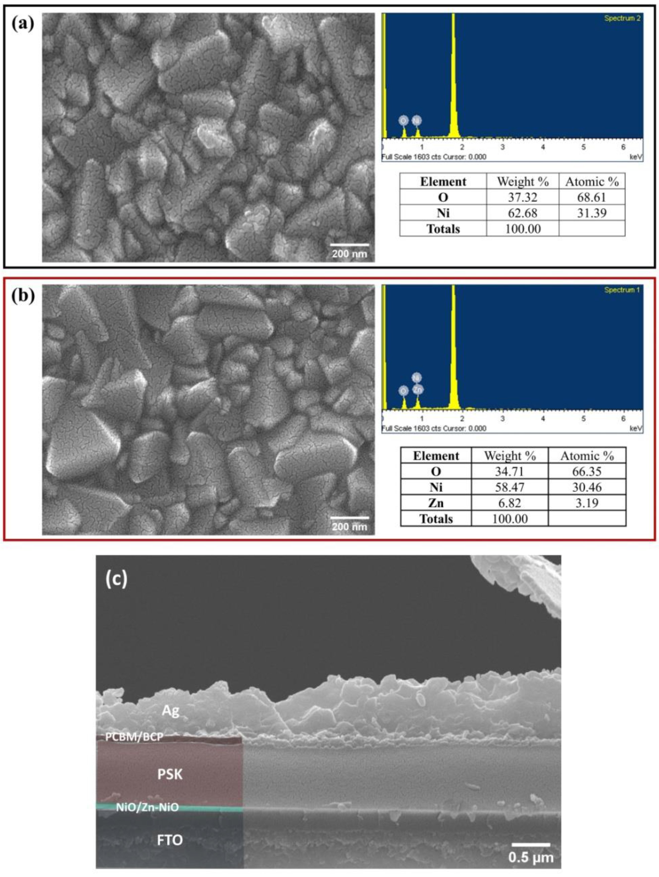 Coatings 11 00627 g006