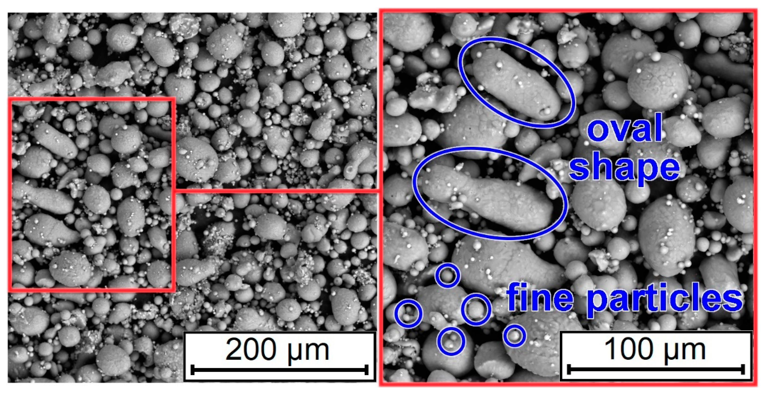 Coatings 11 00629 g004 Coatings 11 00629 g004