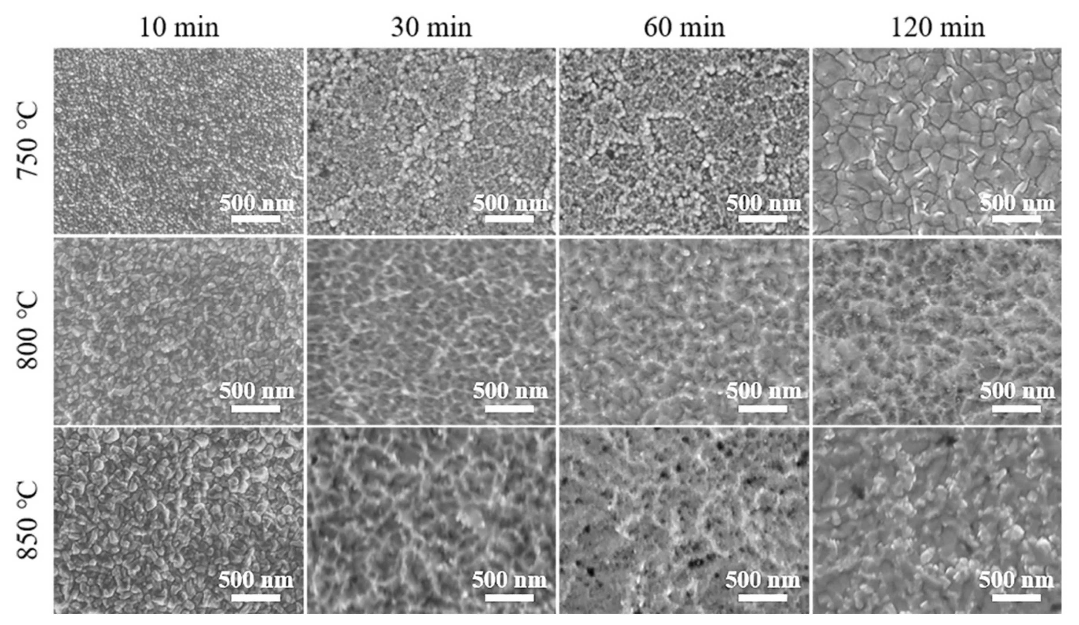 Coatings 11 00631 g001 Coatings 11 00631 g001