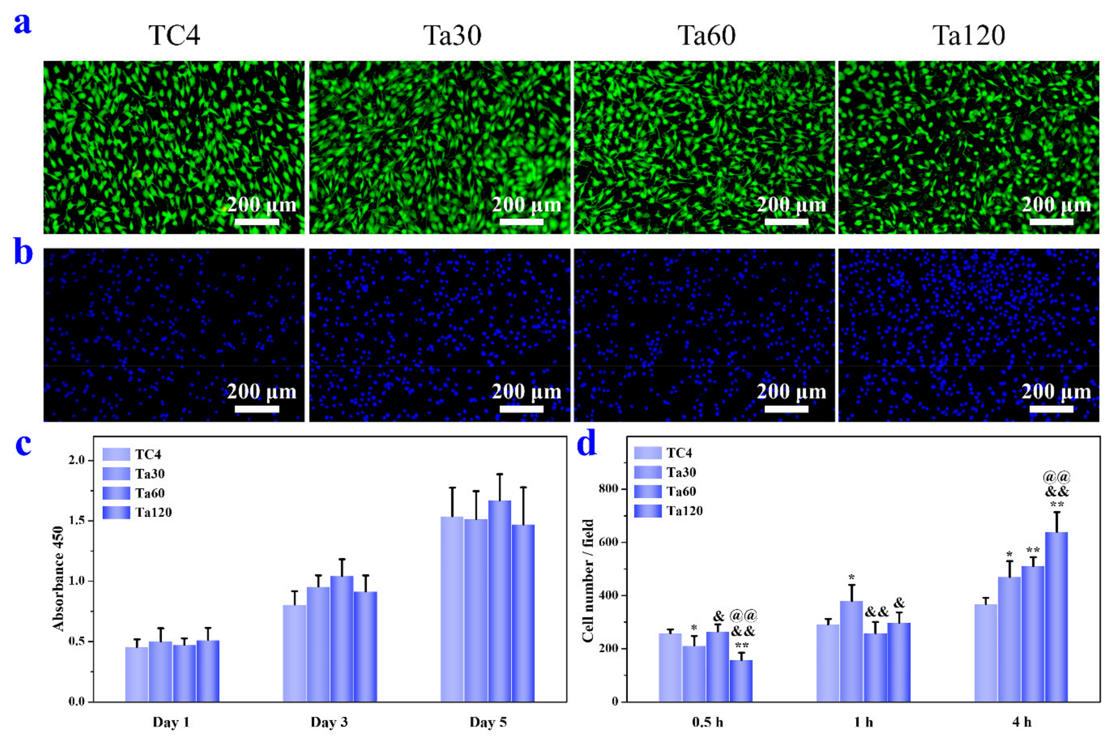 Coatings 11 00631 g007 Coatings 11 00631 g007