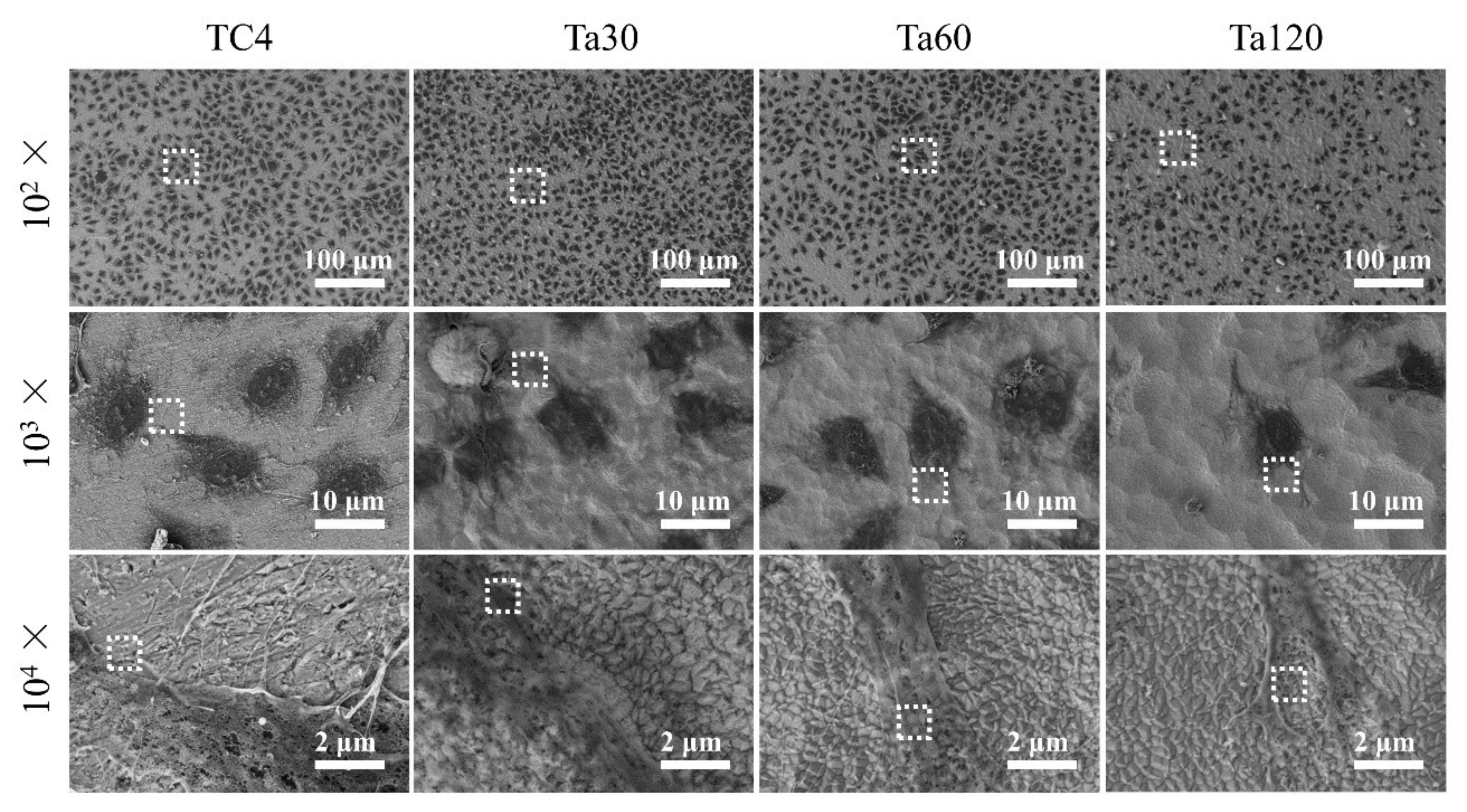 Coatings 11 00631 g008 Coatings 11 00631 g008
