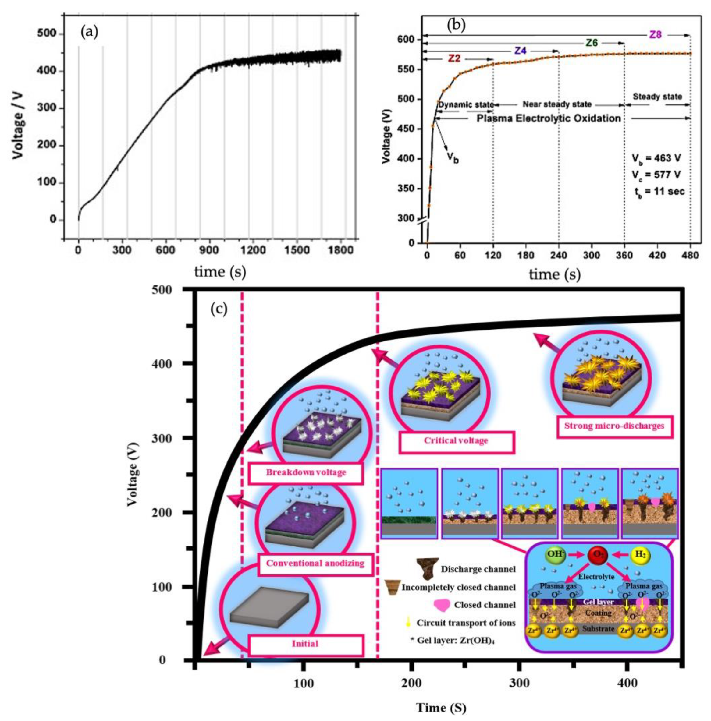Coatings 11 00634 g002