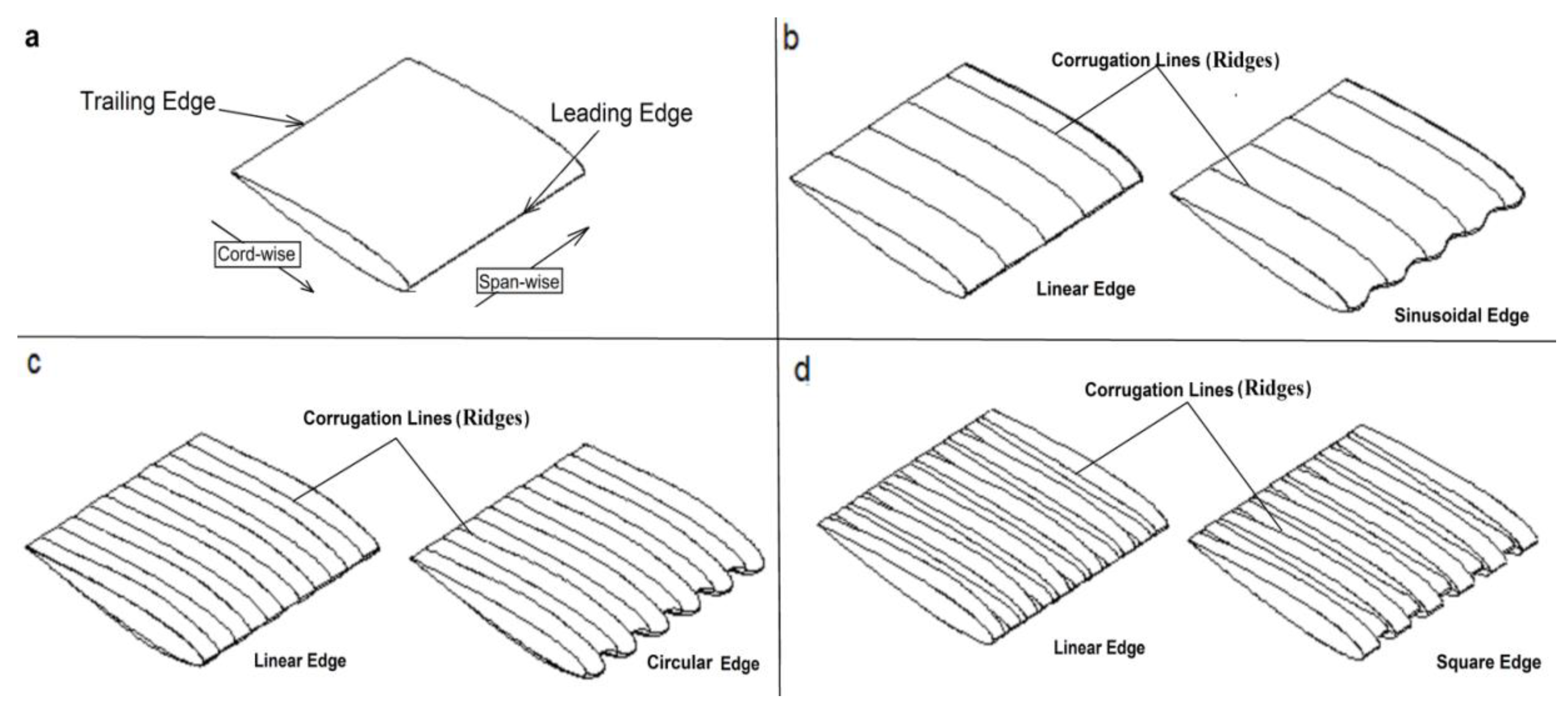 Coatings 11 00635 g001