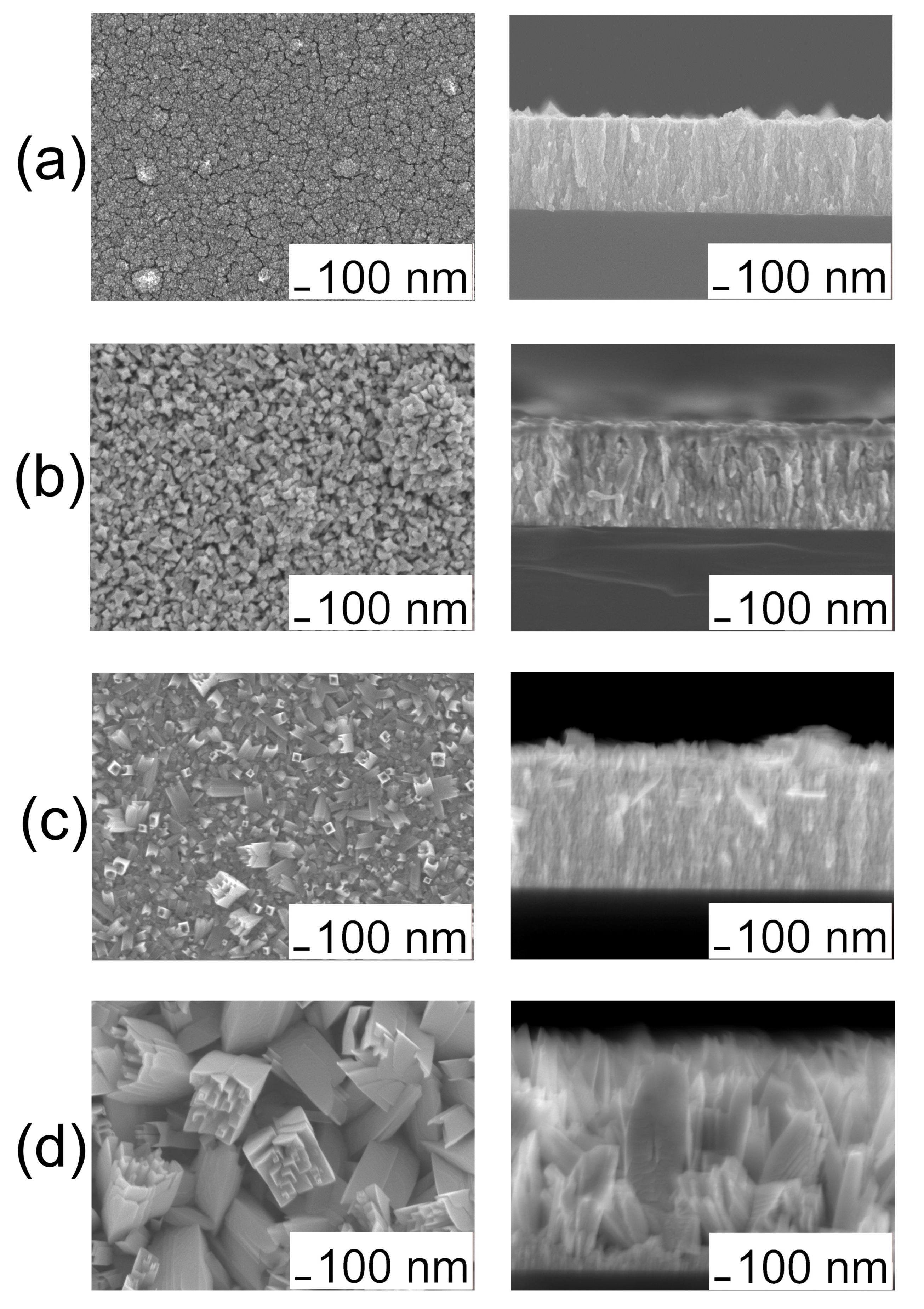 Coatings 11 00638 g001 Coatings 11 00638 g001