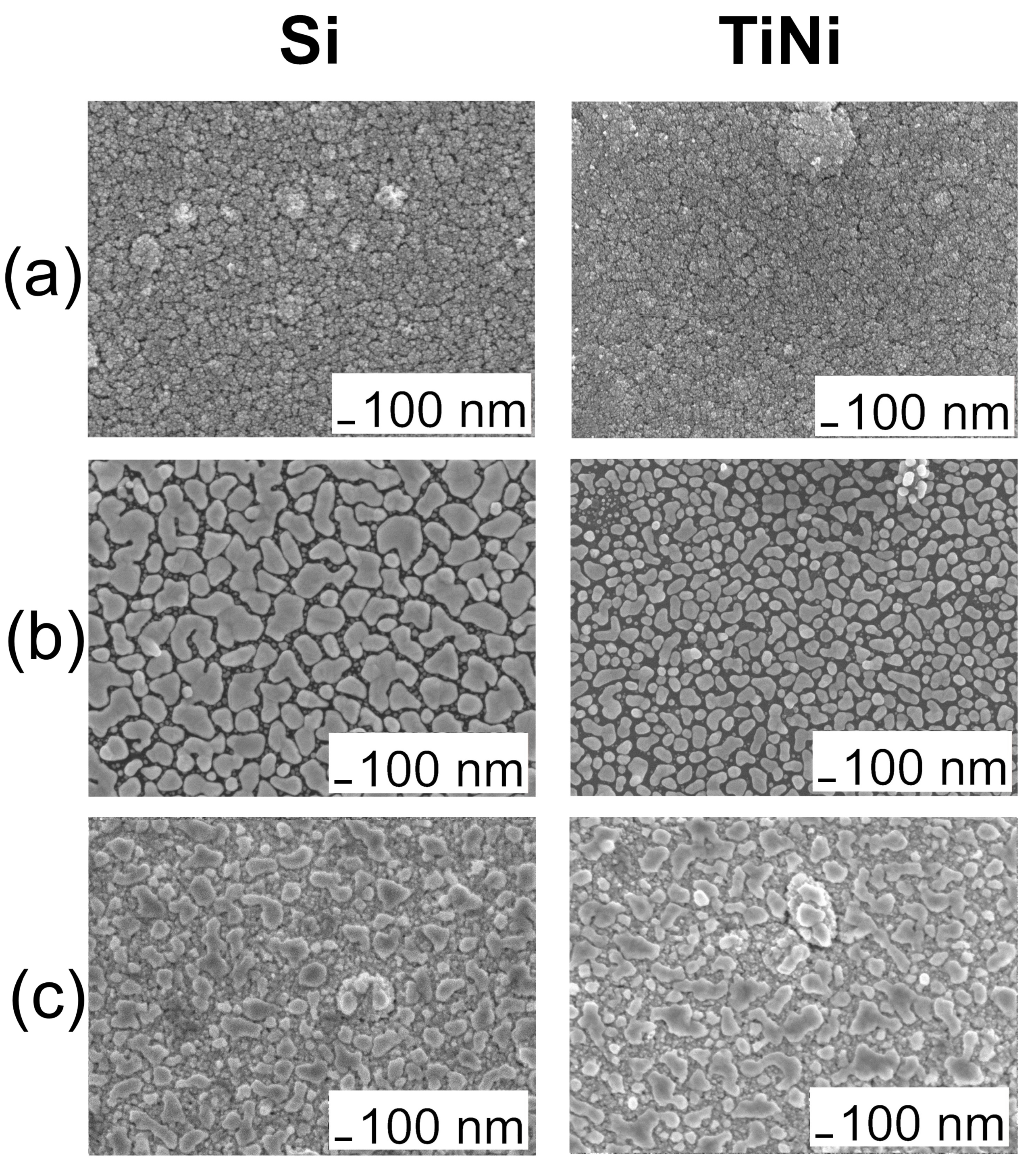 Coatings 11 00638 g005 Coatings 11 00638 g005