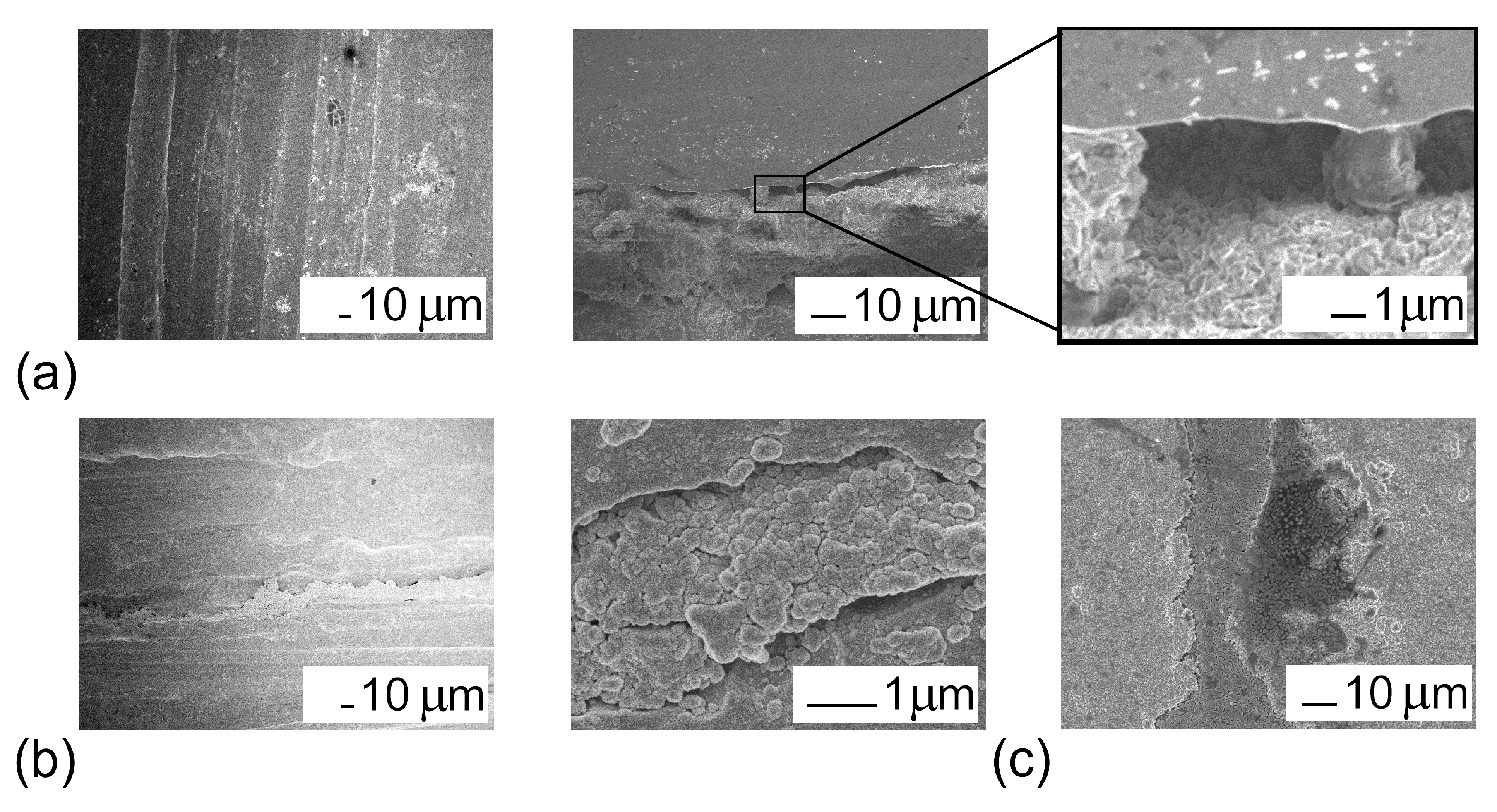 Coatings 11 00638 g008 Coatings 11 00638 g008